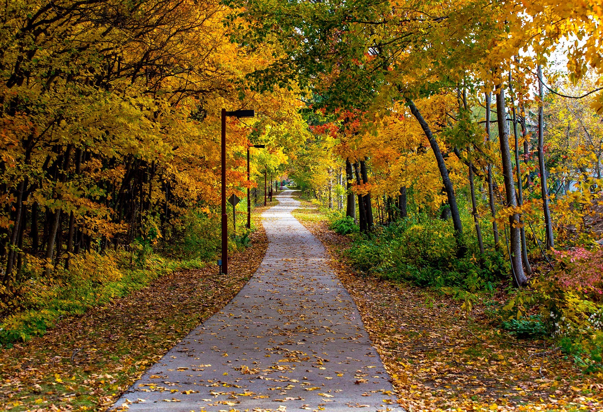 Иллюстрация к публикации