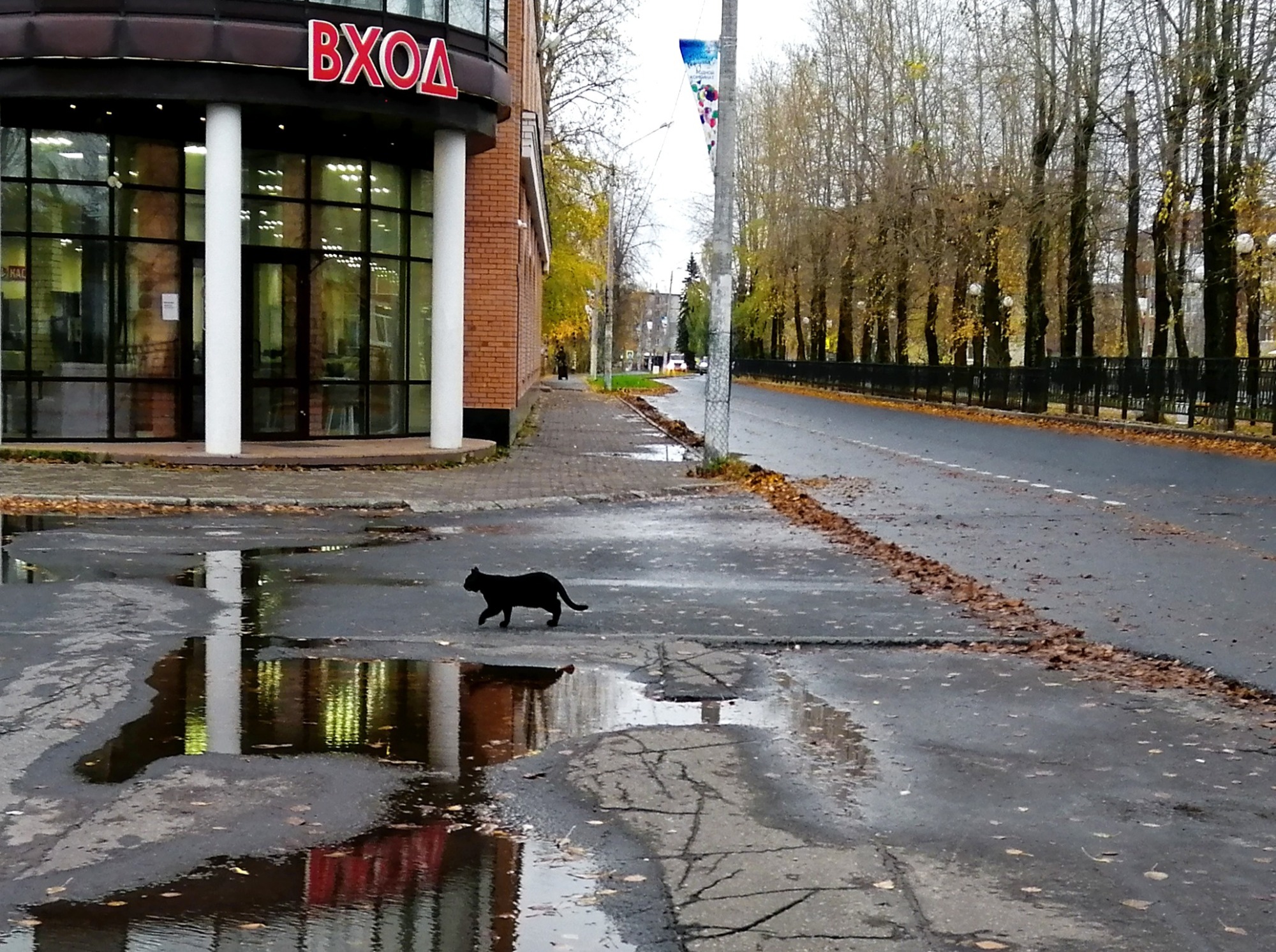 Иллюстрация к публикации