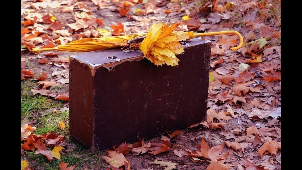 Иллюстрация к публикации