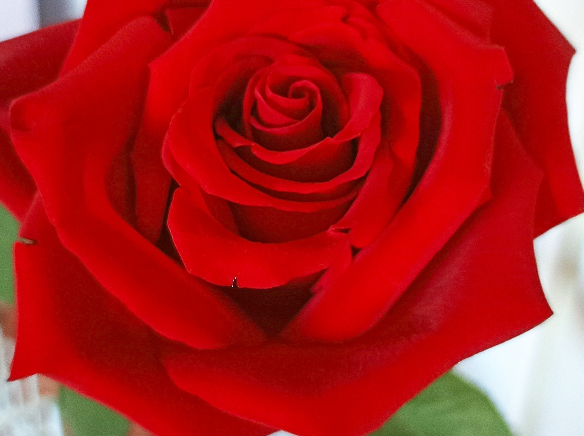 Иллюстрация к публикации