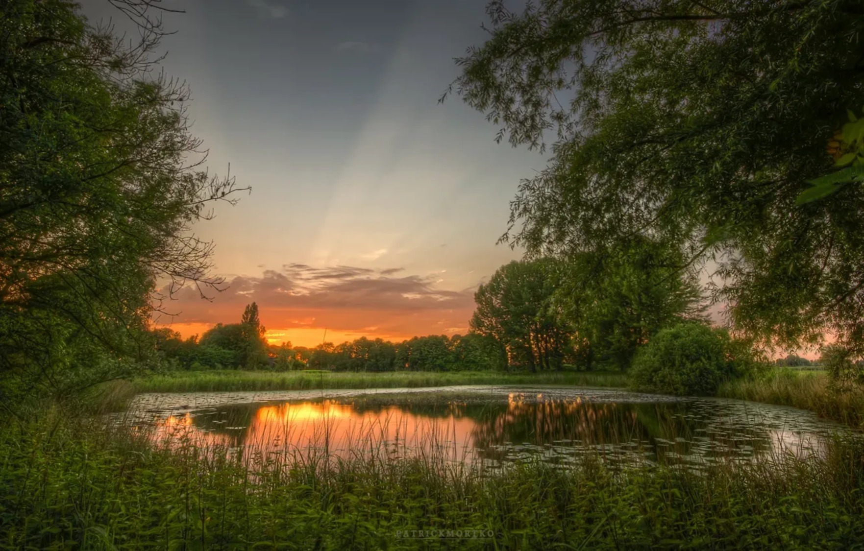 Иллюстрация к публикации