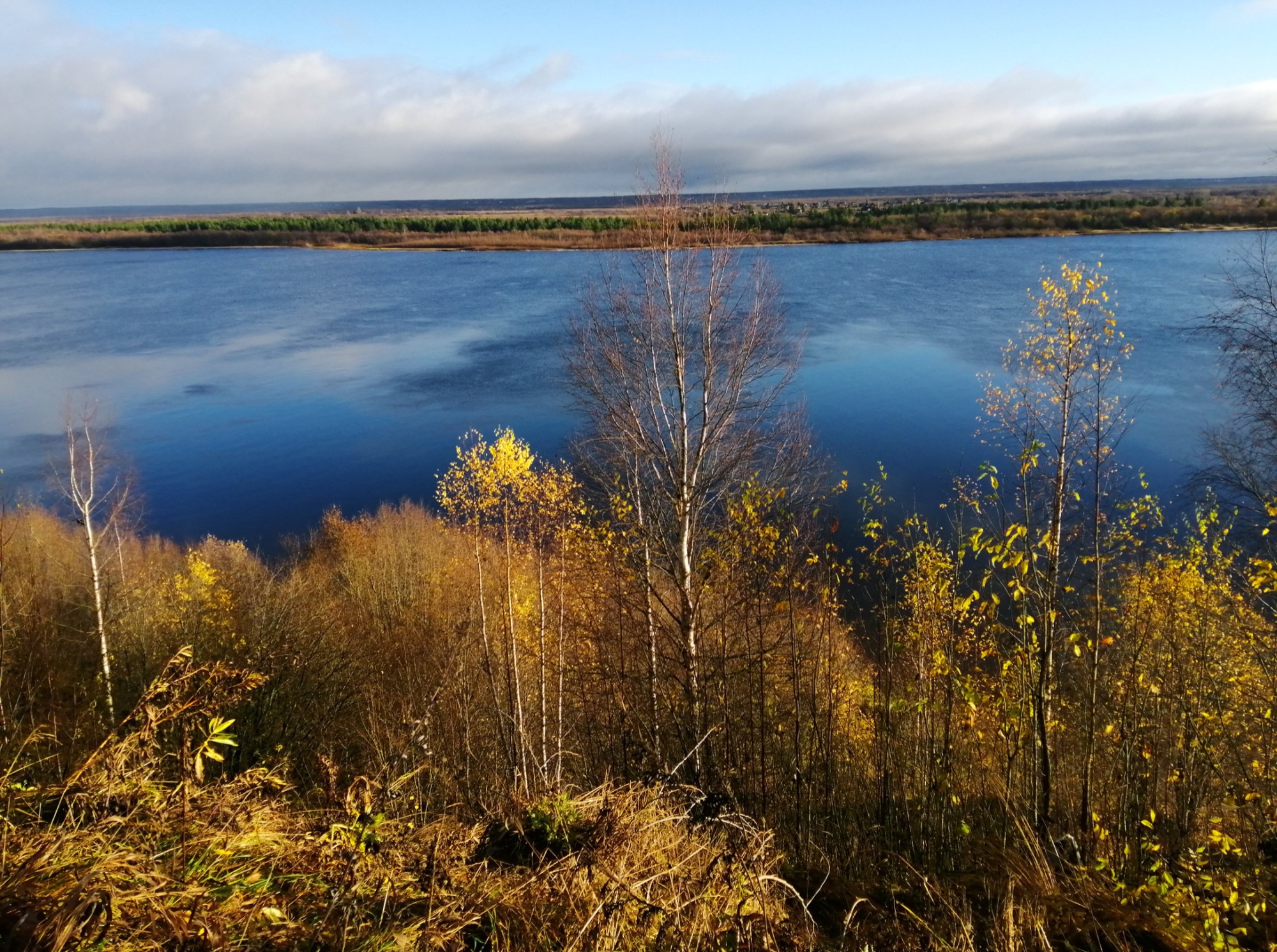 Иллюстрация к публикации