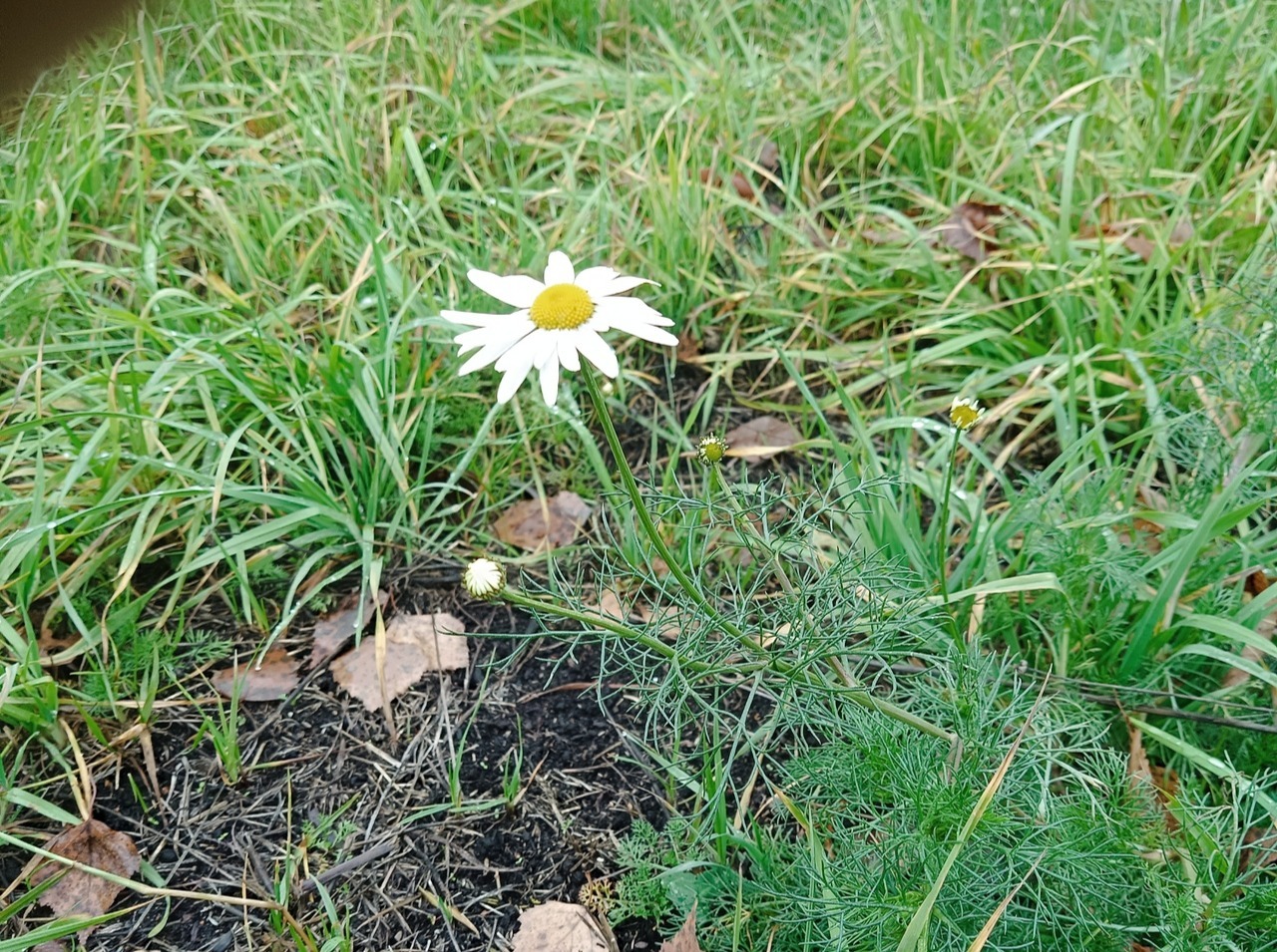 Иллюстрация к публикации