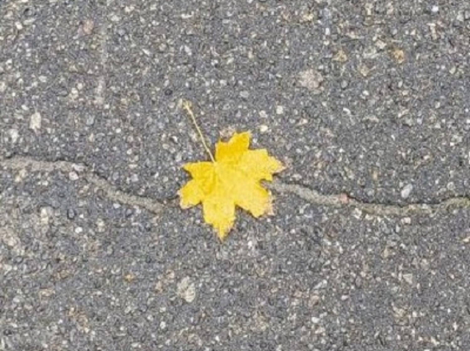 Иллюстрация к публикации