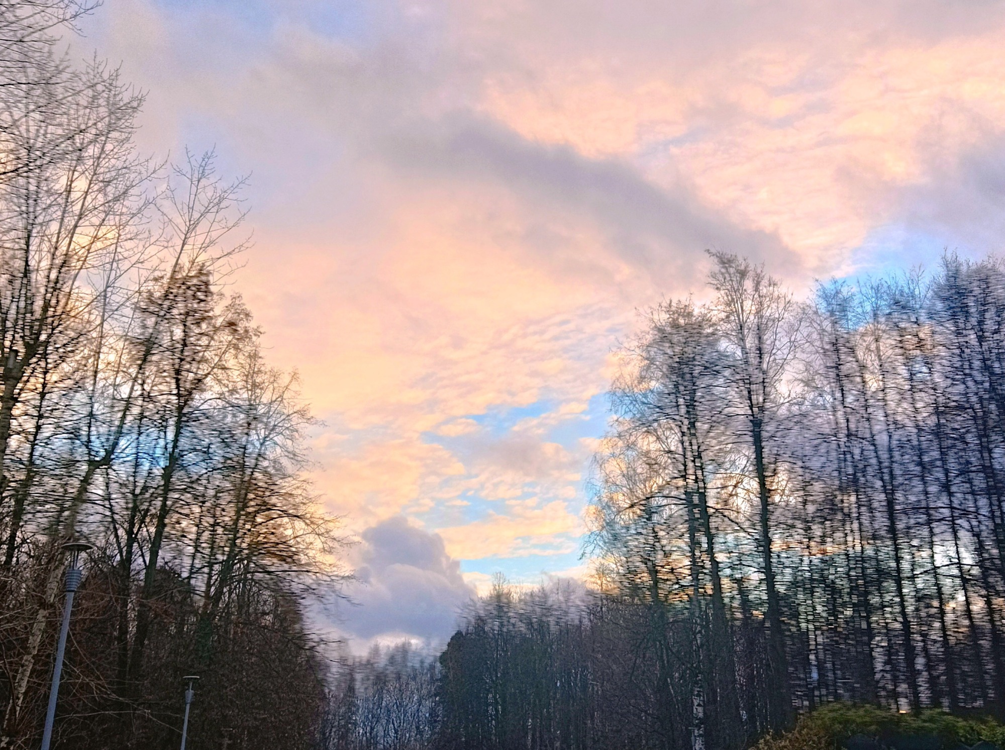 Иллюстрация к публикации