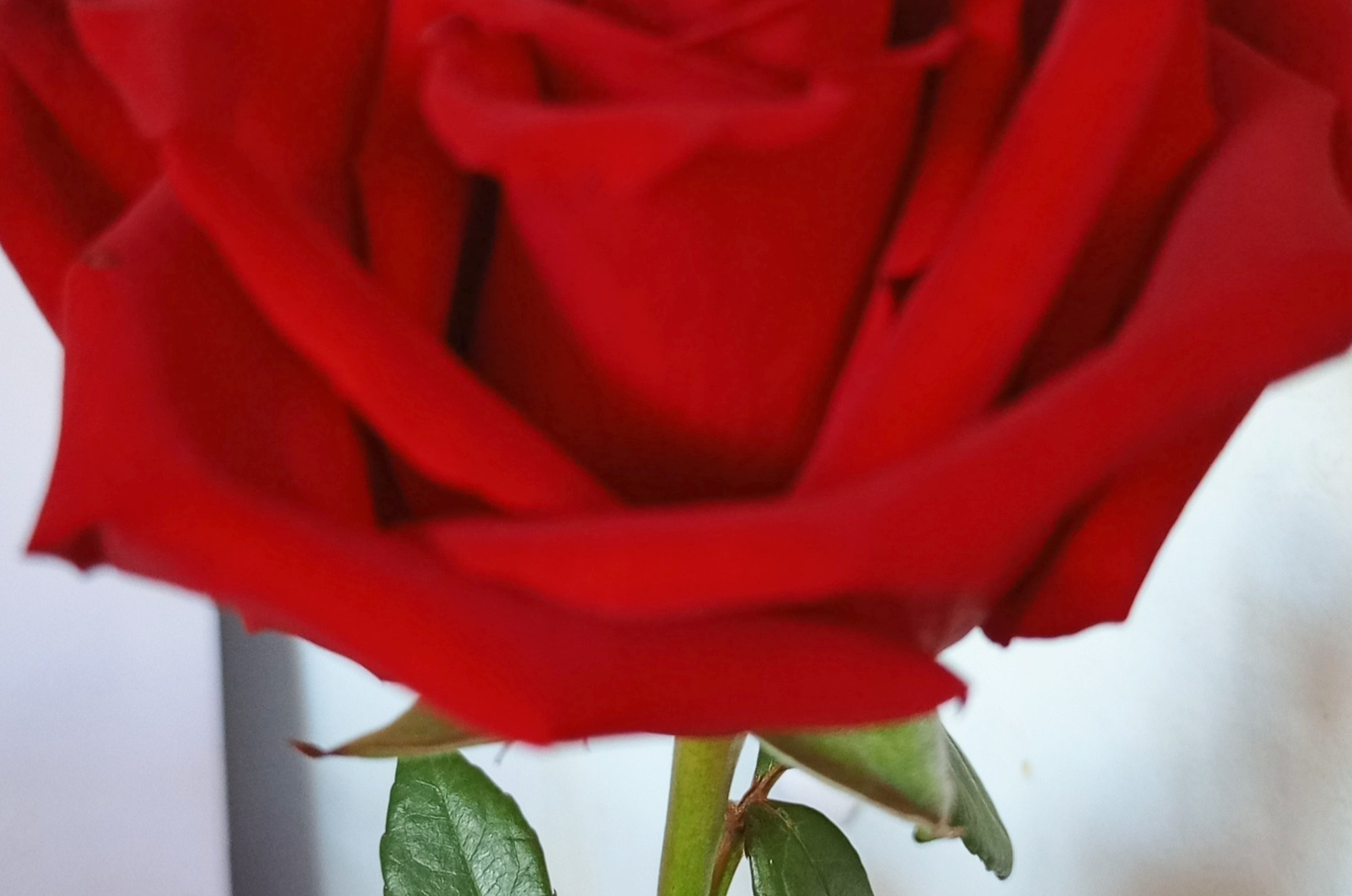 Иллюстрация к публикации