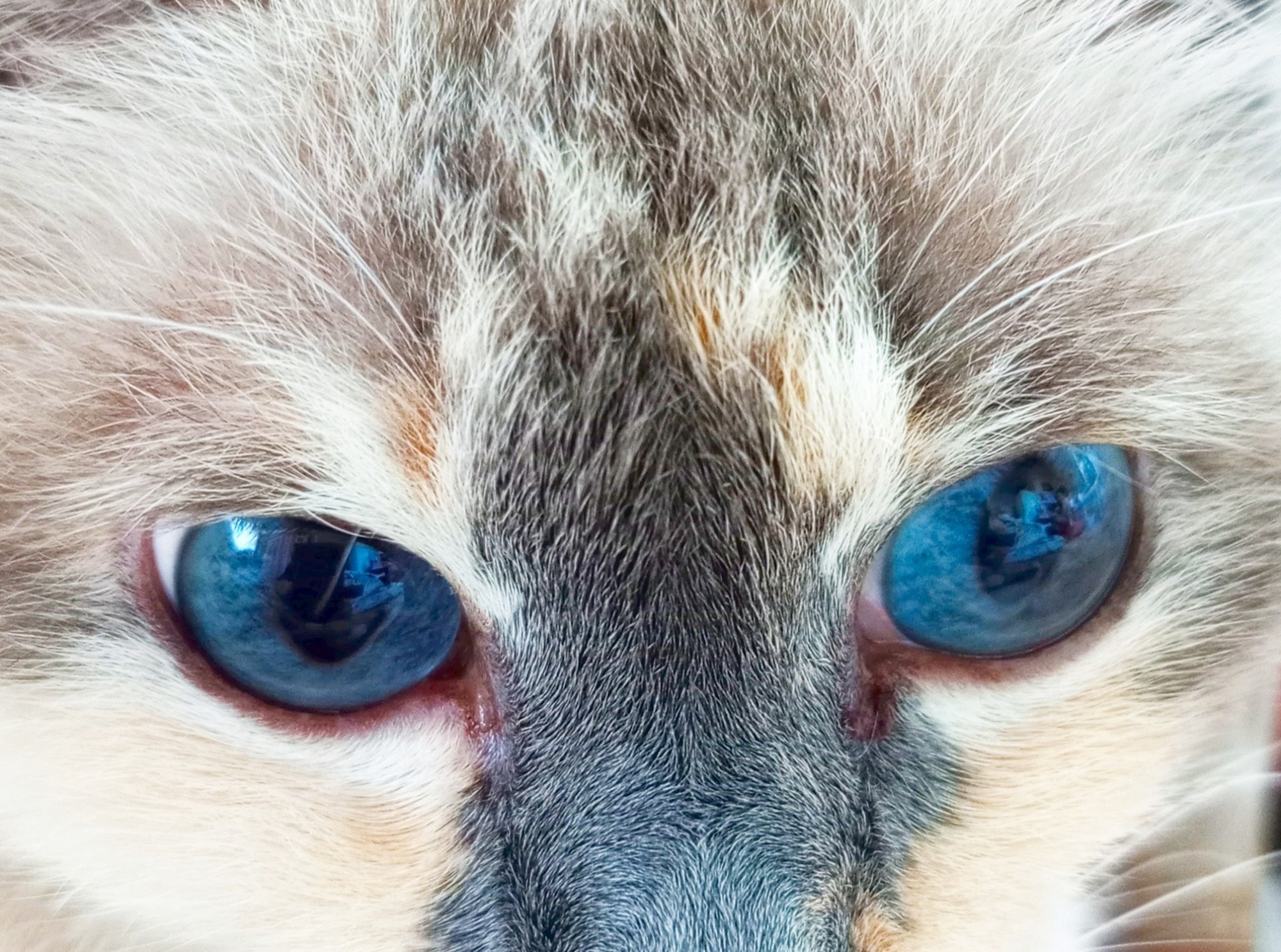 Иллюстрация к публикации