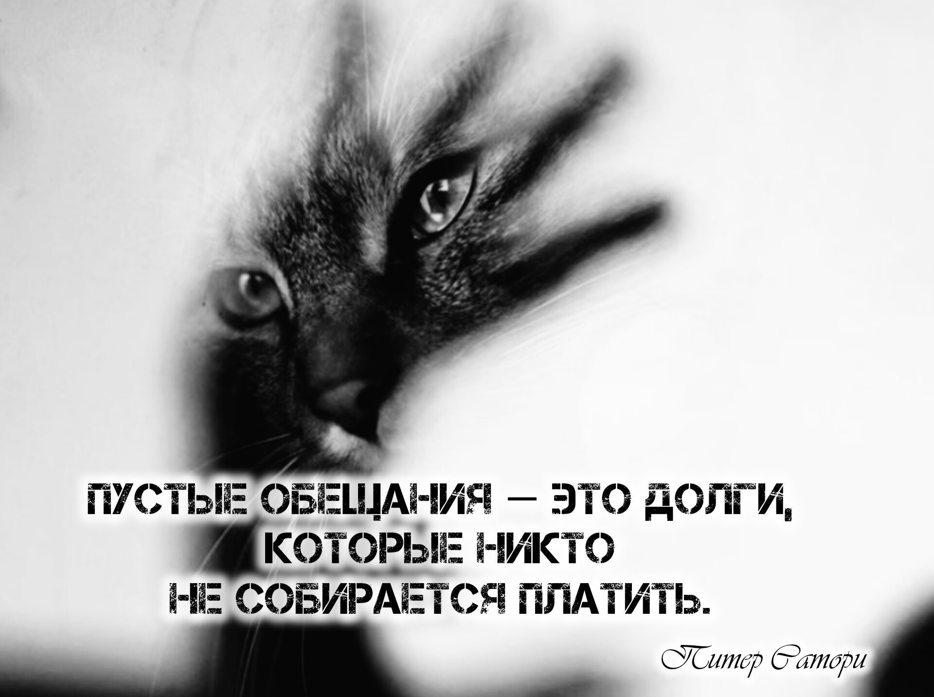 Иллюстрация к публикации