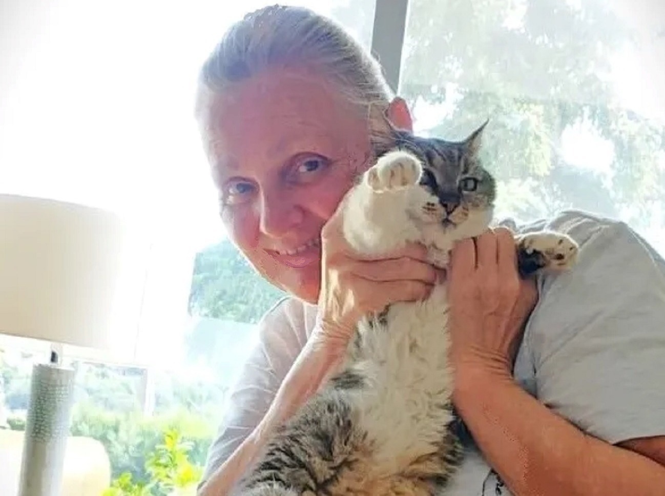 Иллюстрация к публикации