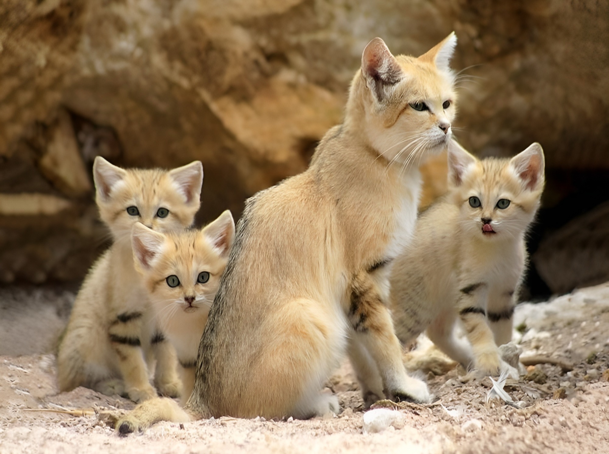 Иллюстрация к публикации