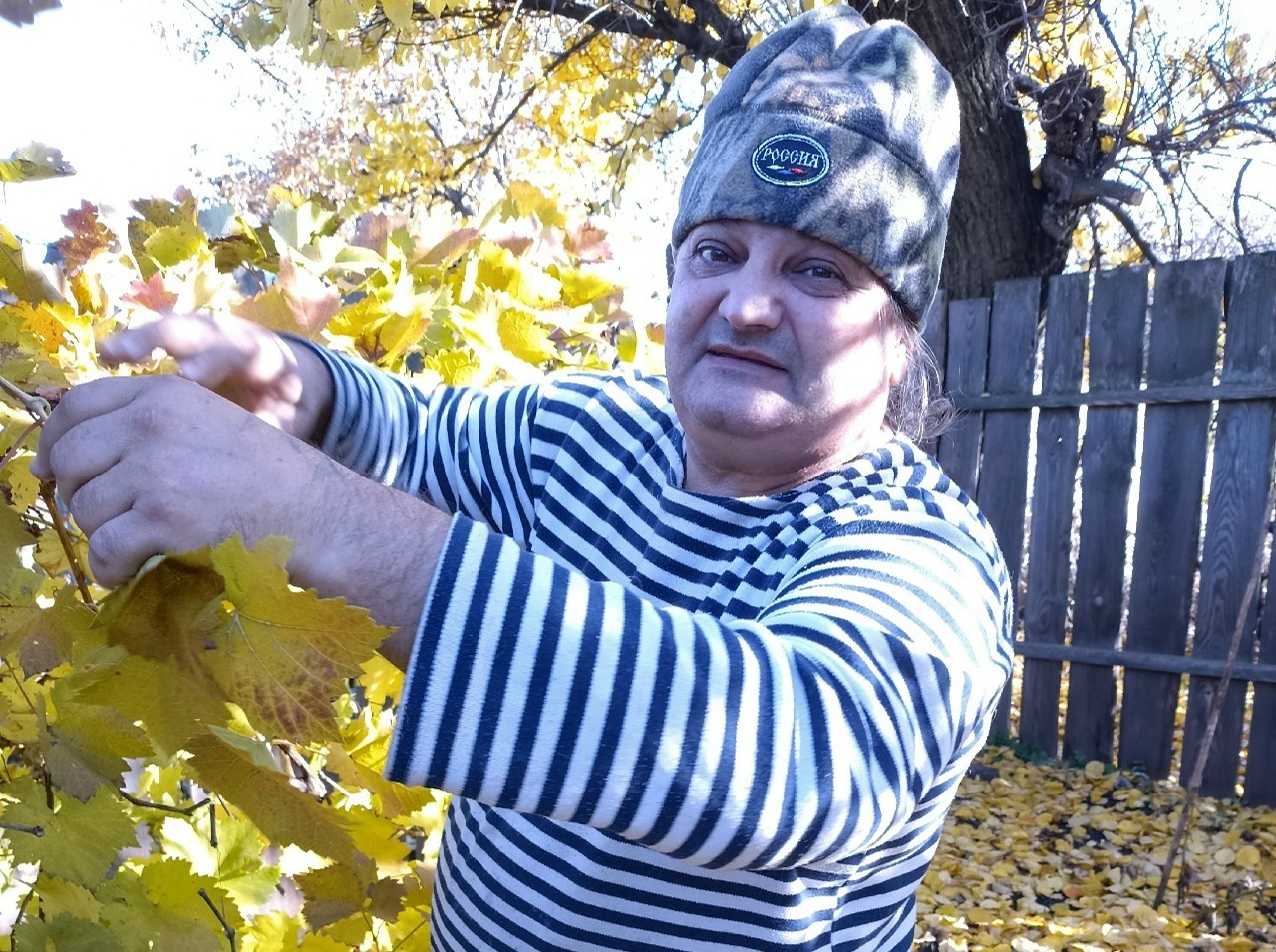 Иллюстрация к публикации