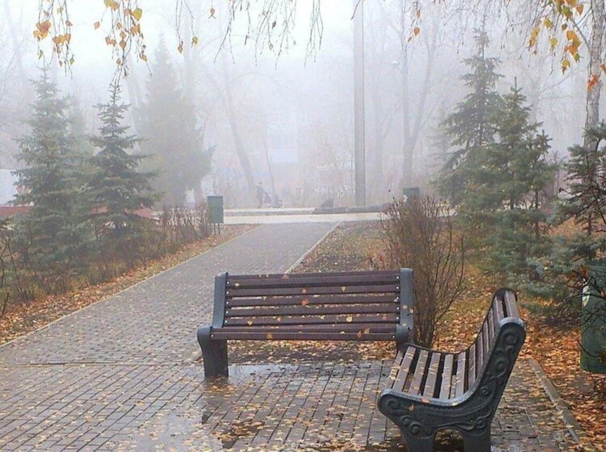 Иллюстрация к публикации