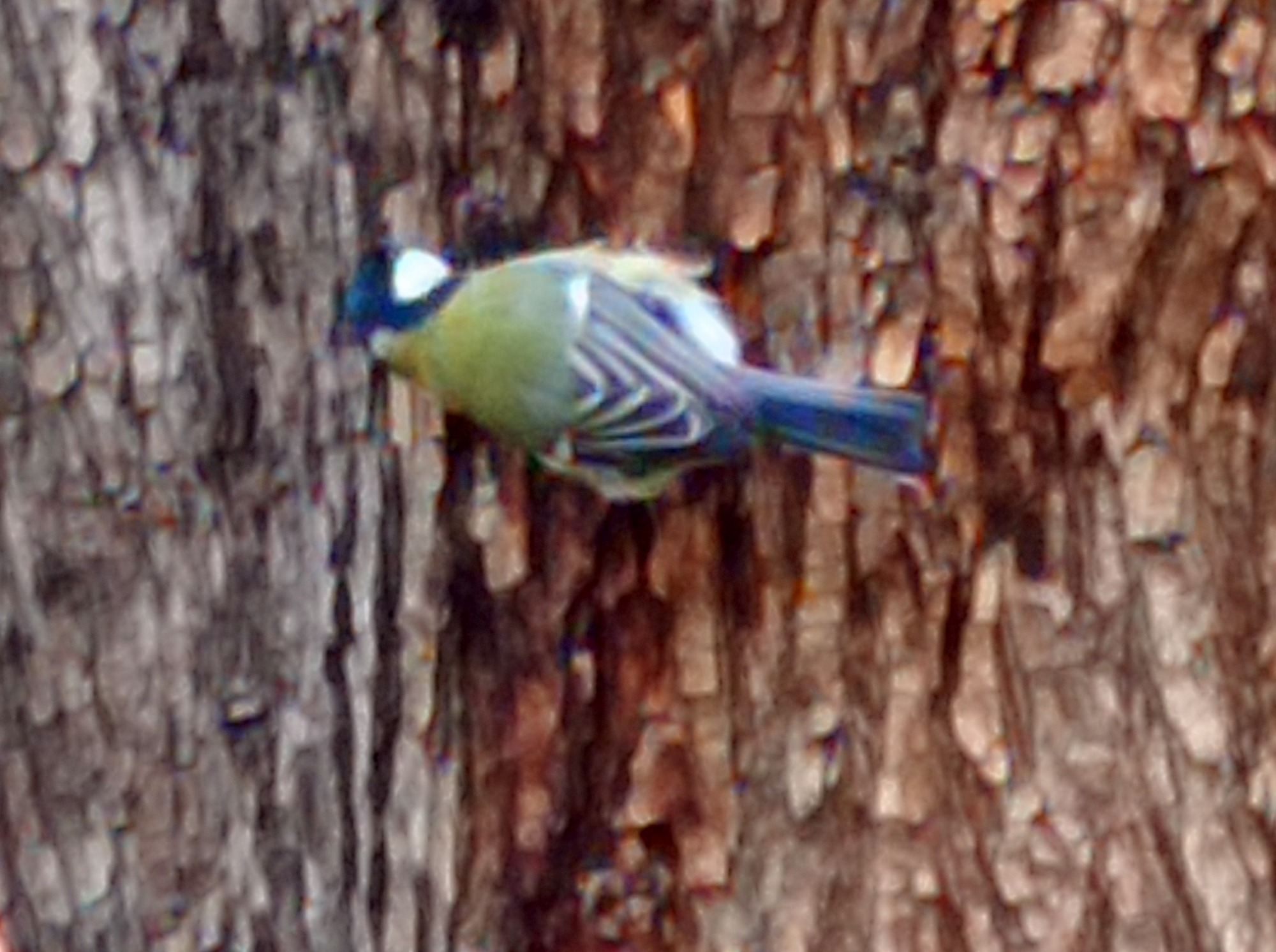 Иллюстрация к публикации