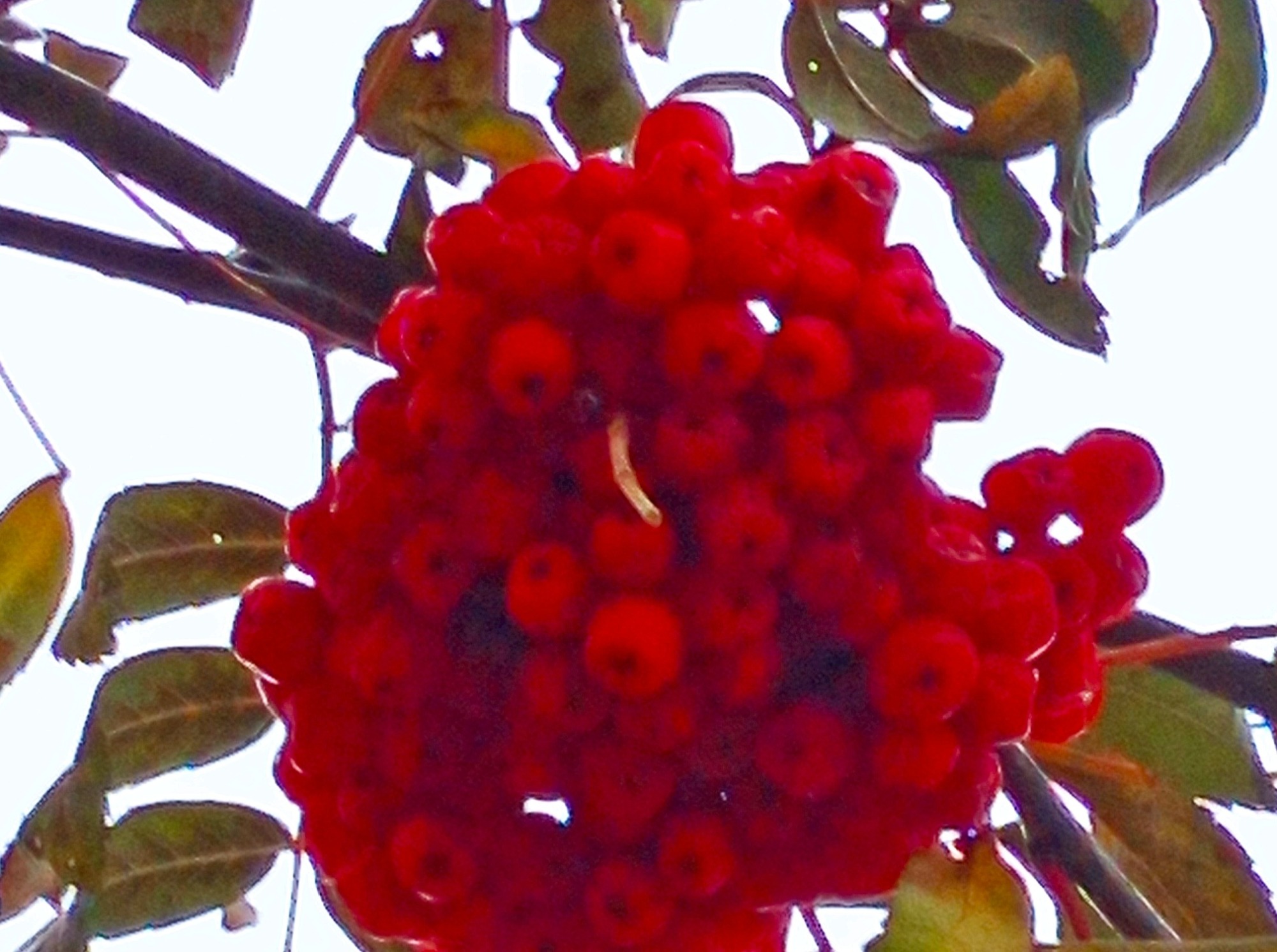 Иллюстрация к публикации