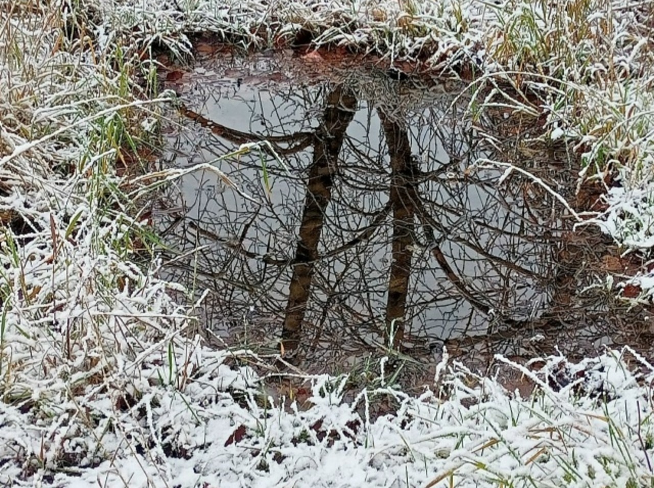 Иллюстрация к публикации