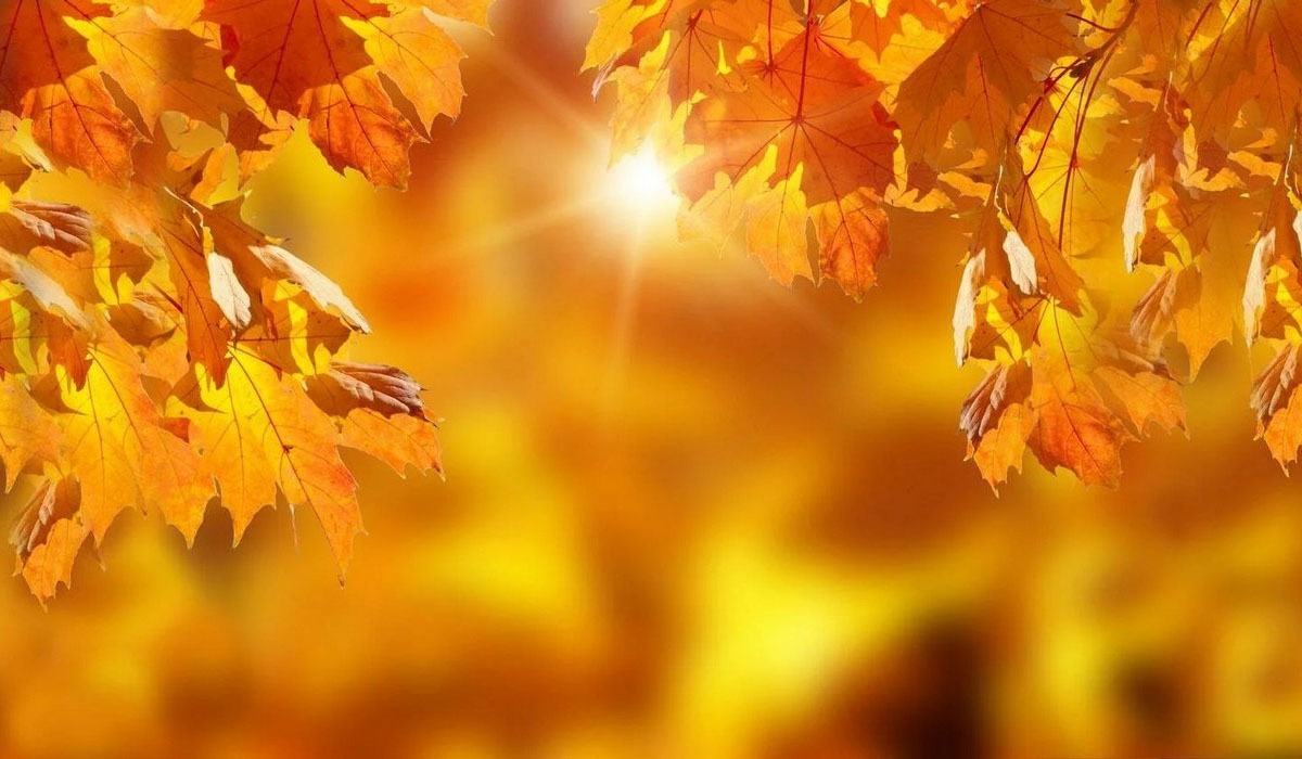 Иллюстрация к публикации