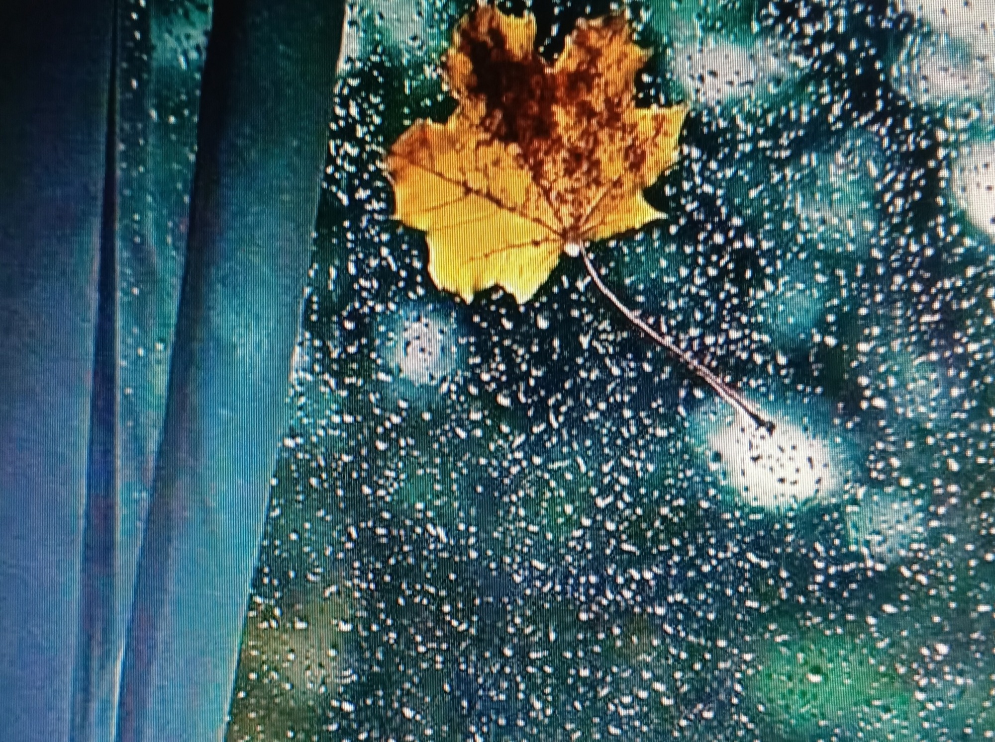 Иллюстрация к публикации