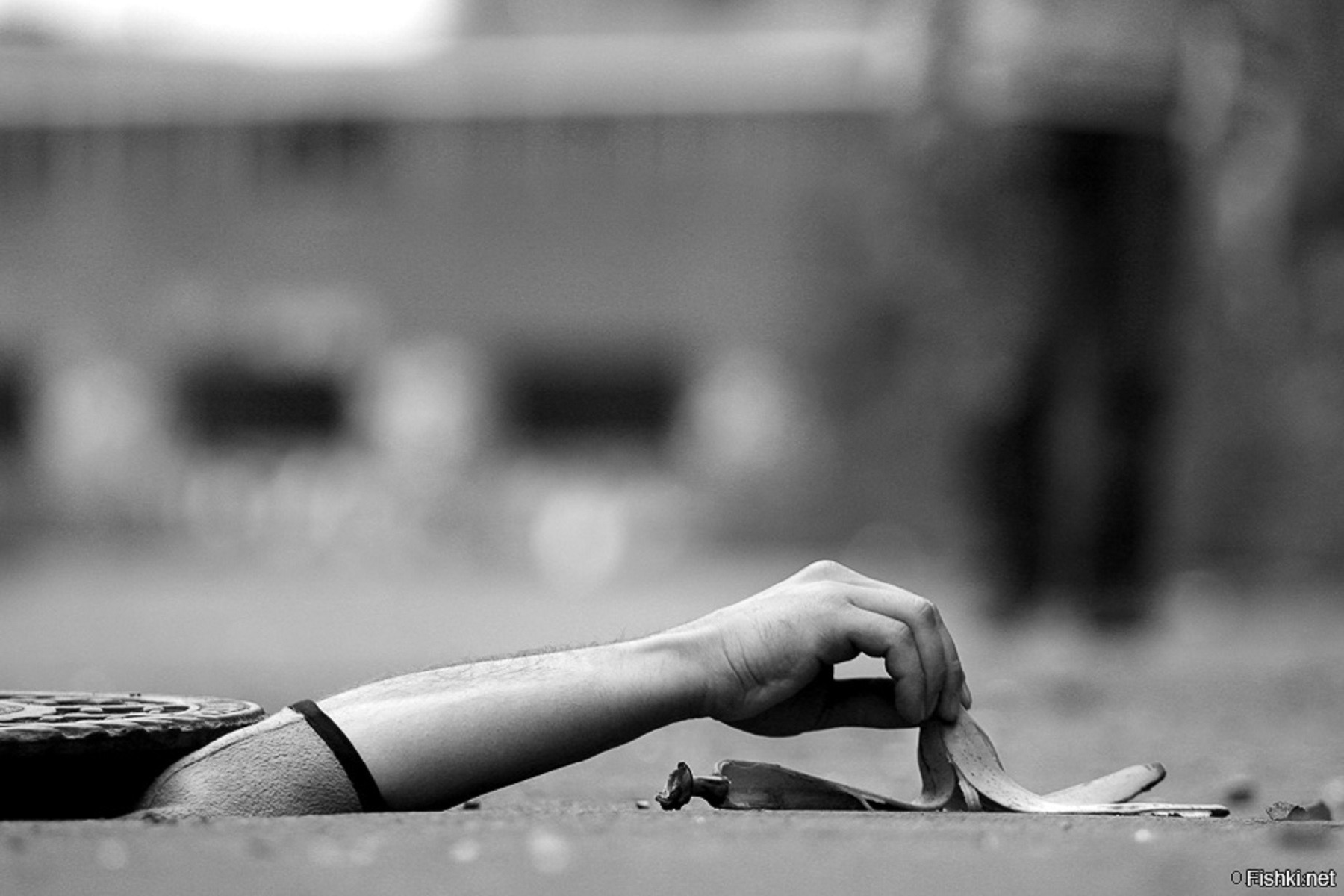 Иллюстрация к публикации