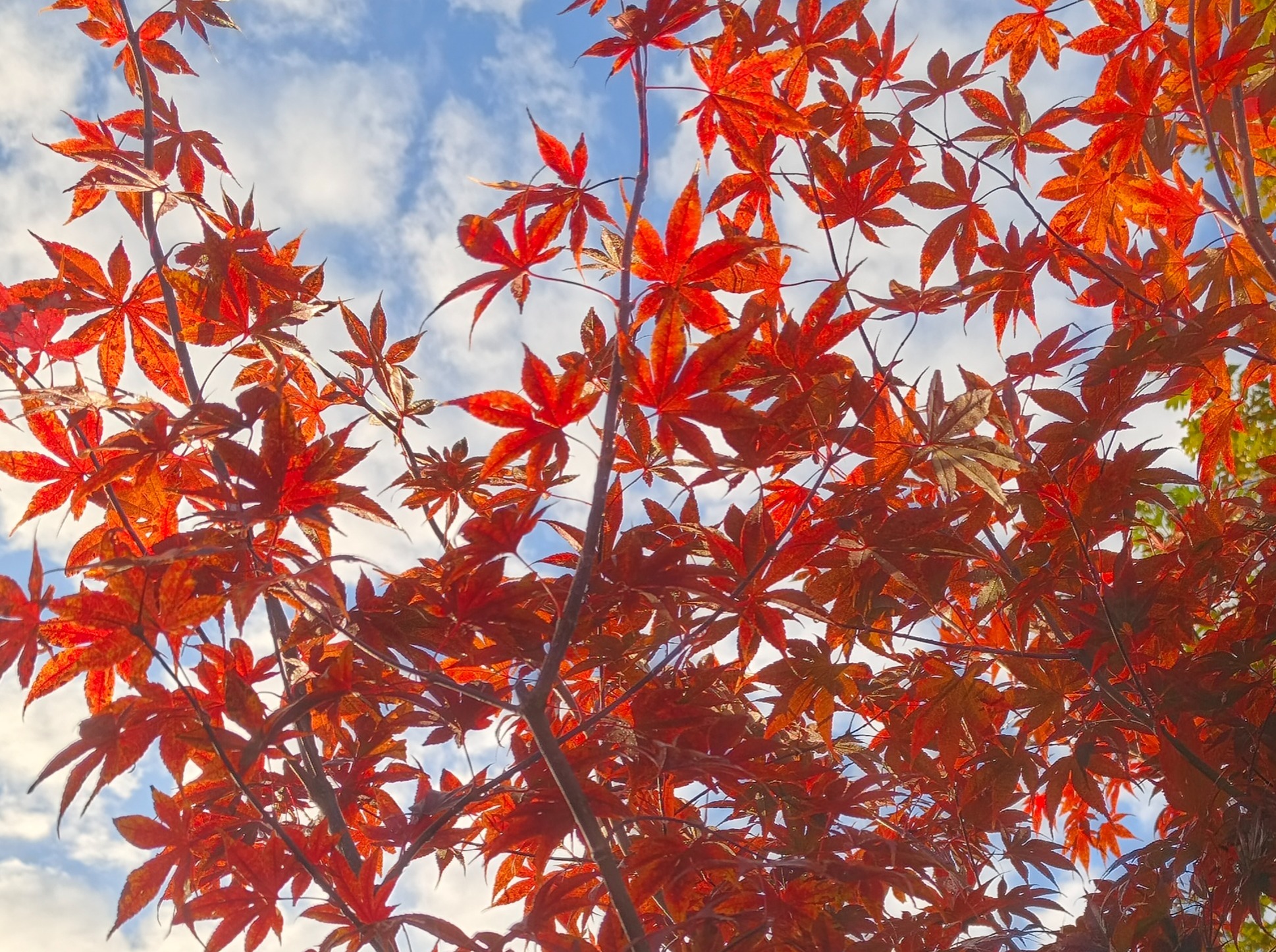 Иллюстрация к публикации