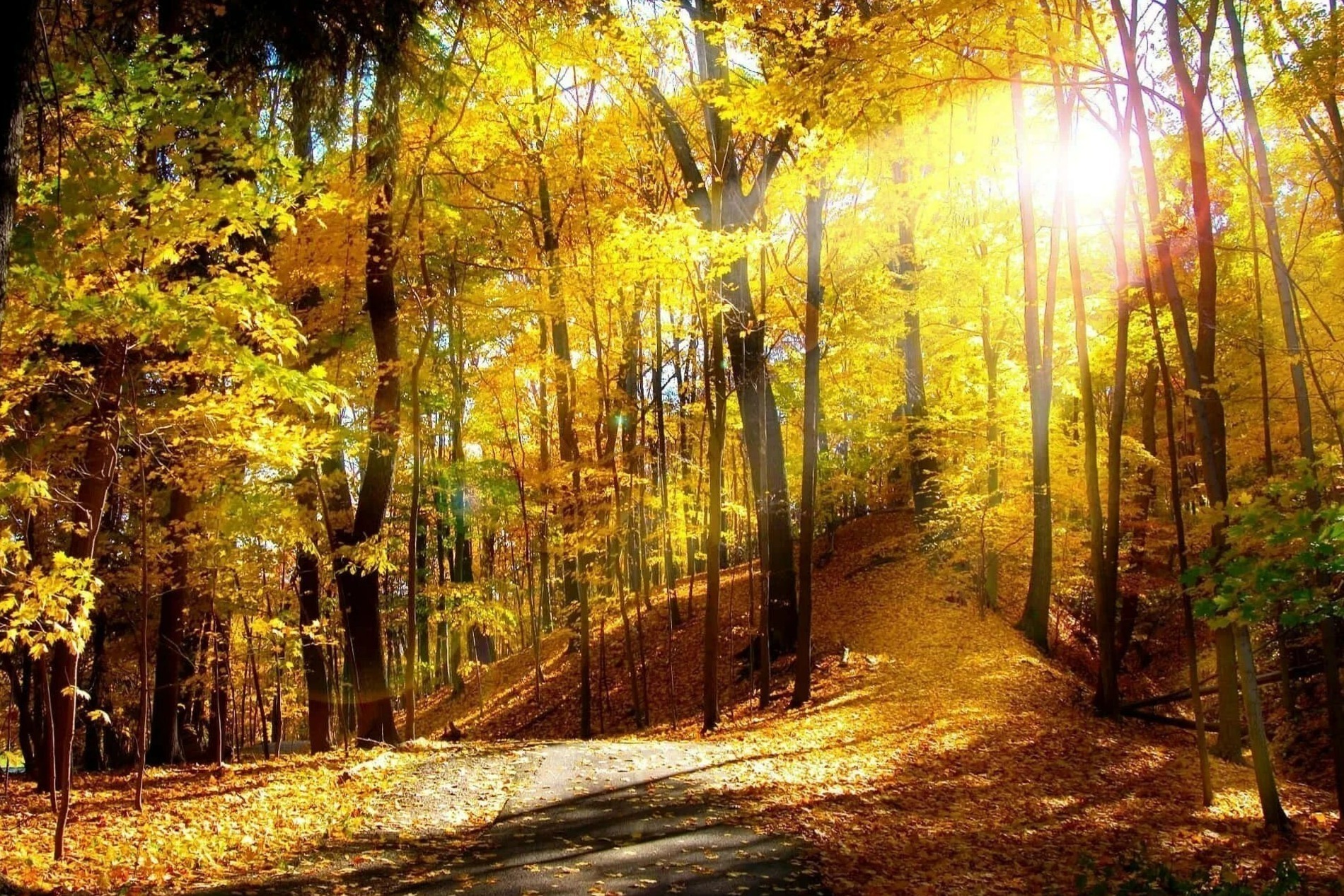 Иллюстрация к публикации