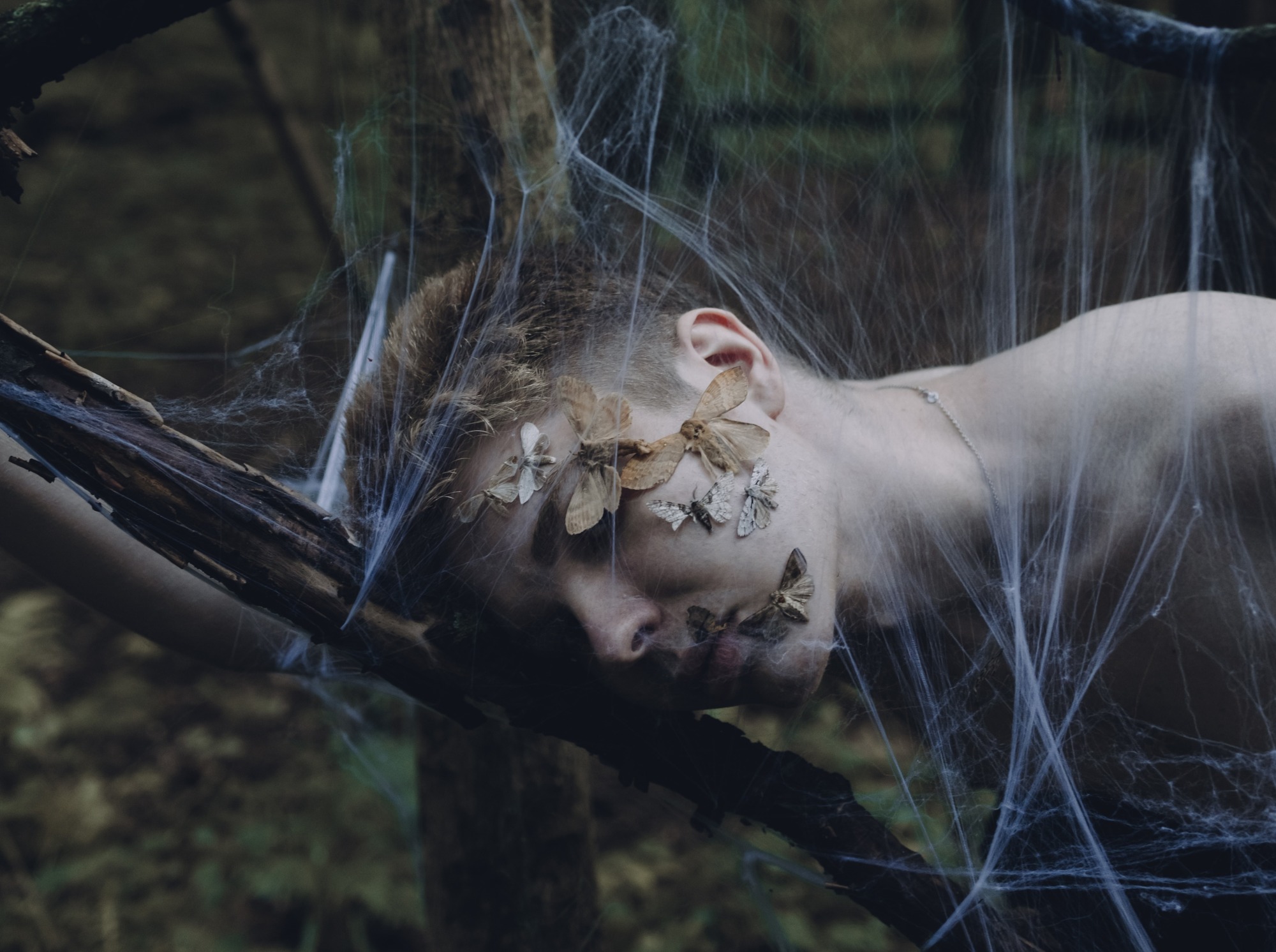 Иллюстрация к публикации