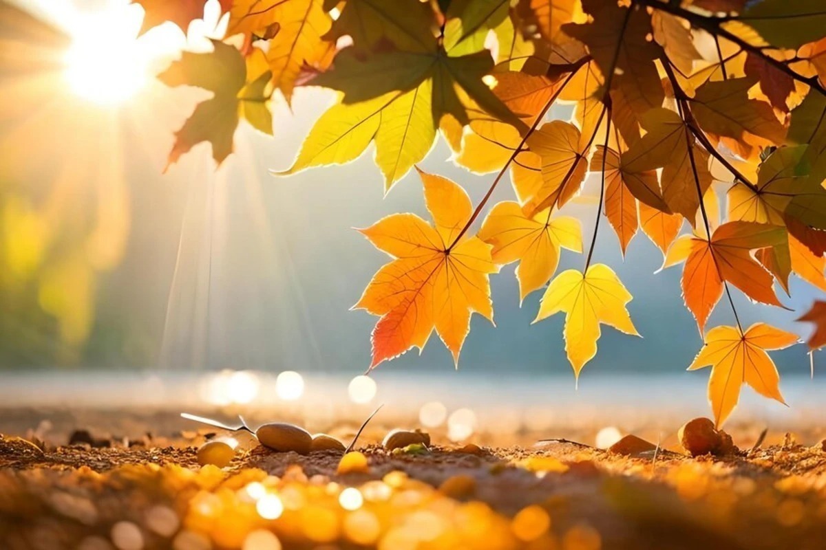 Иллюстрация к публикации