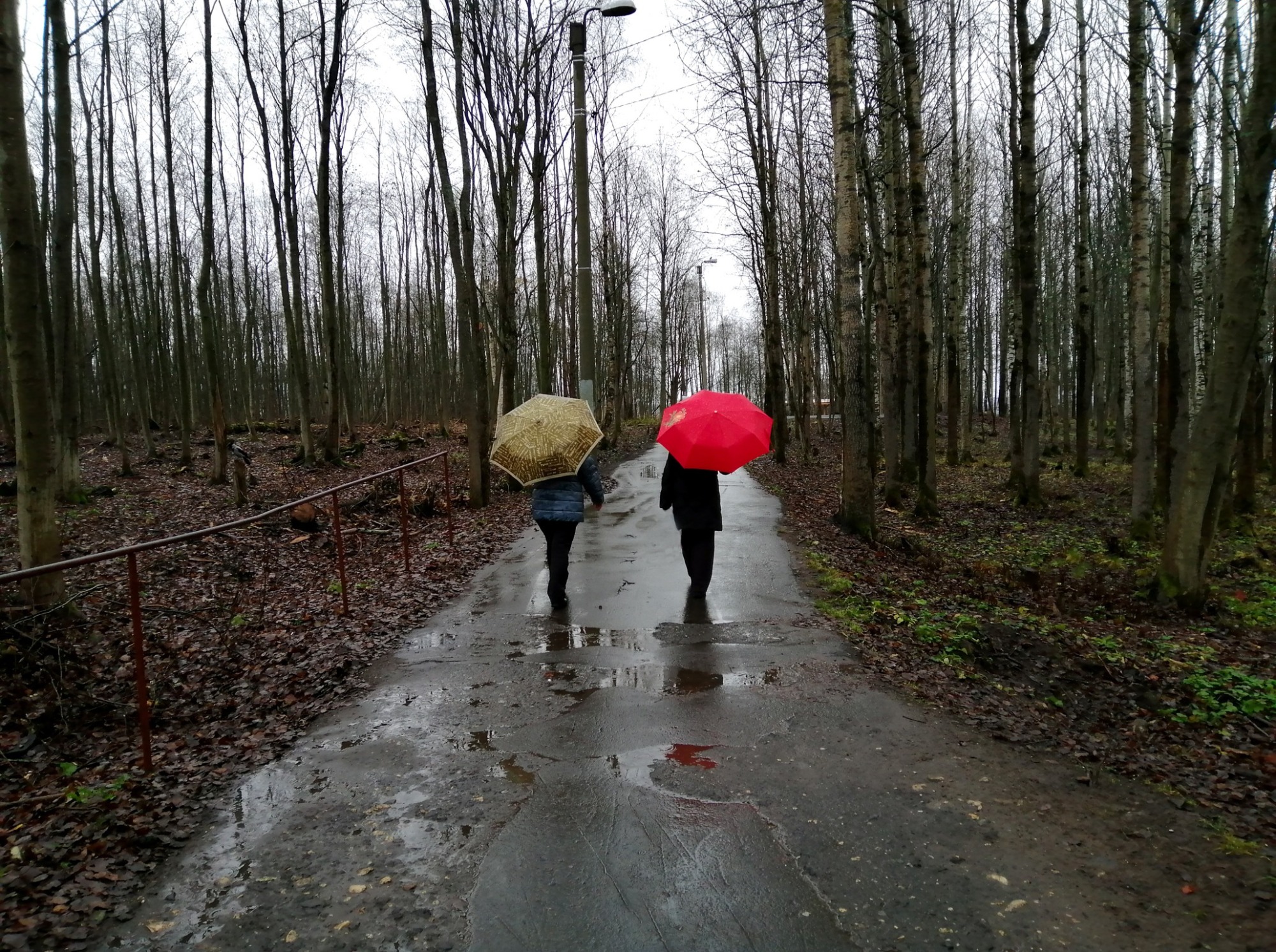 Иллюстрация к публикации