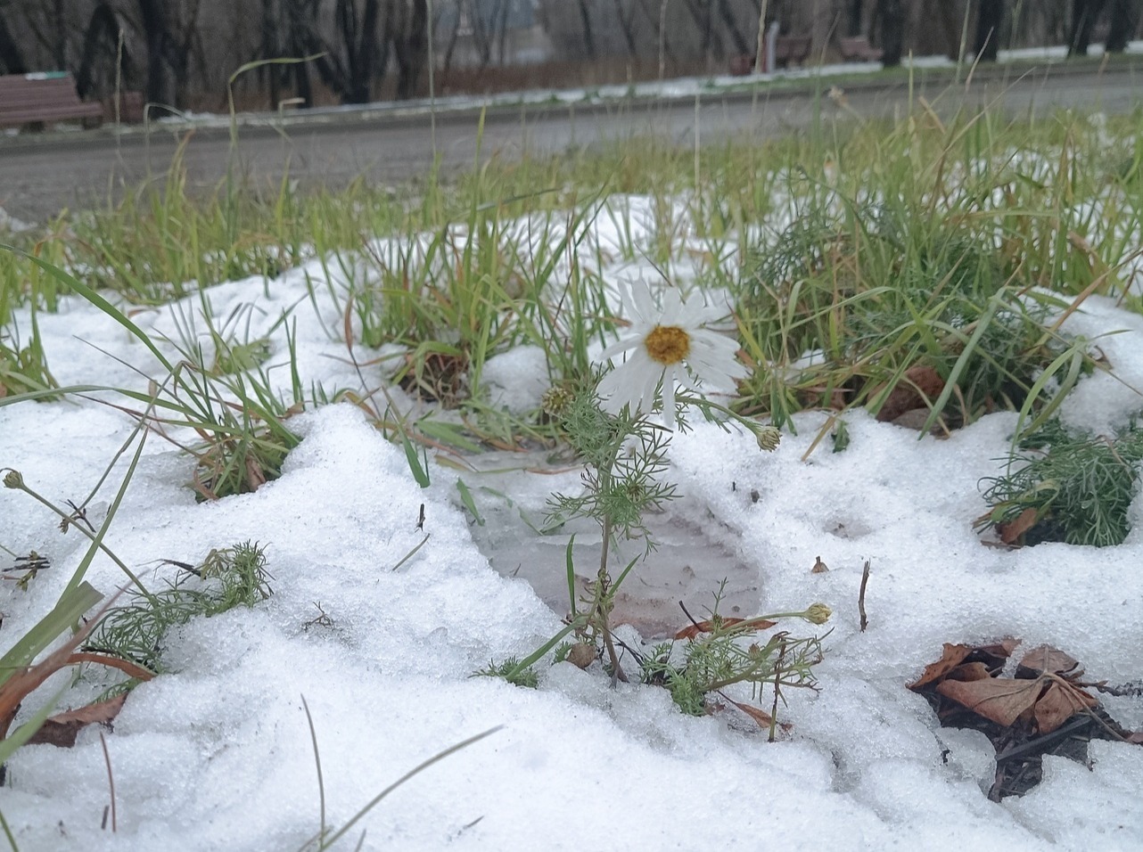 Иллюстрация к публикации