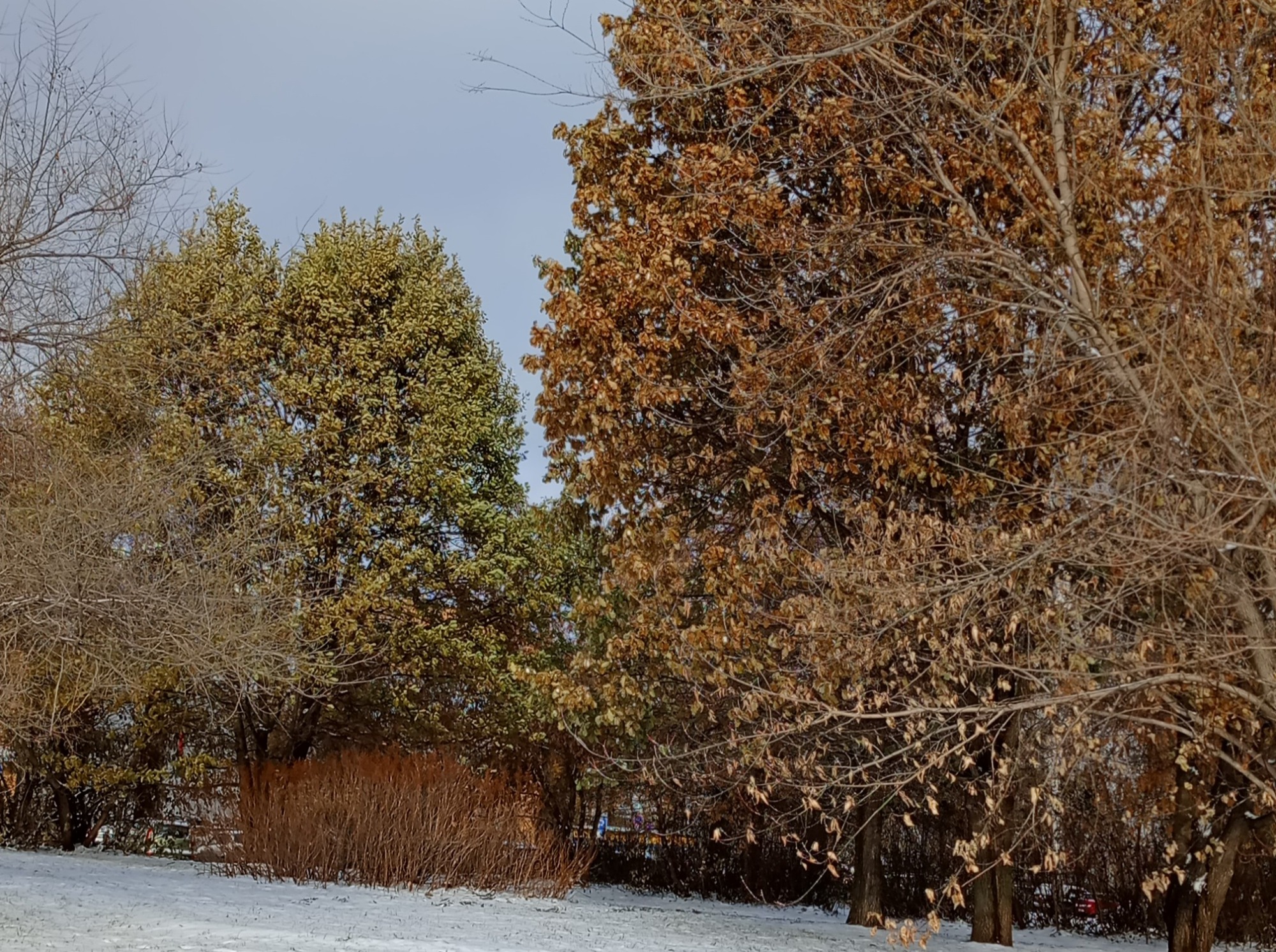 Иллюстрация к публикации