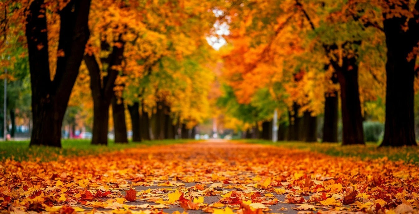 Иллюстрация к публикации