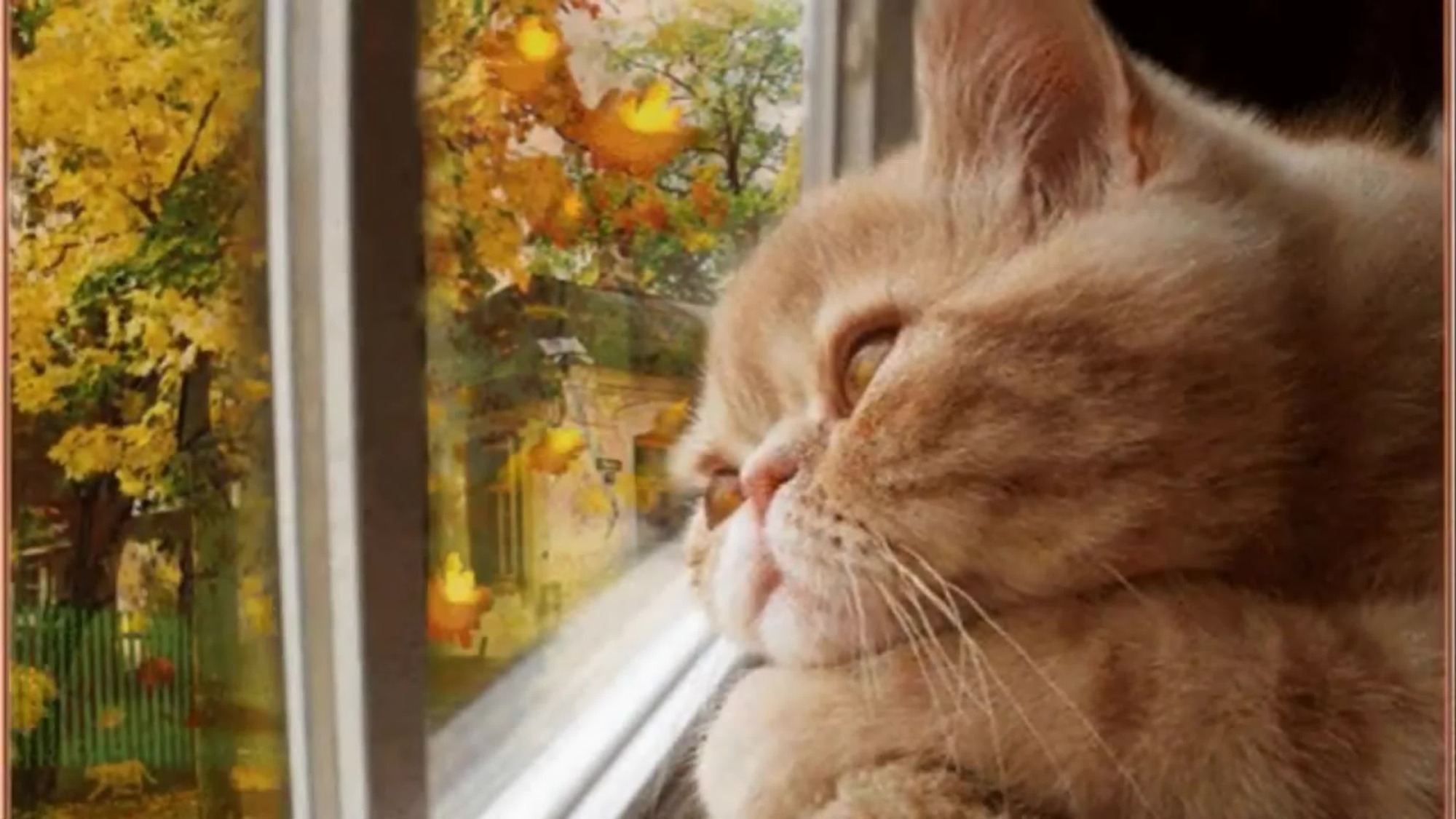 Иллюстрация к публикации