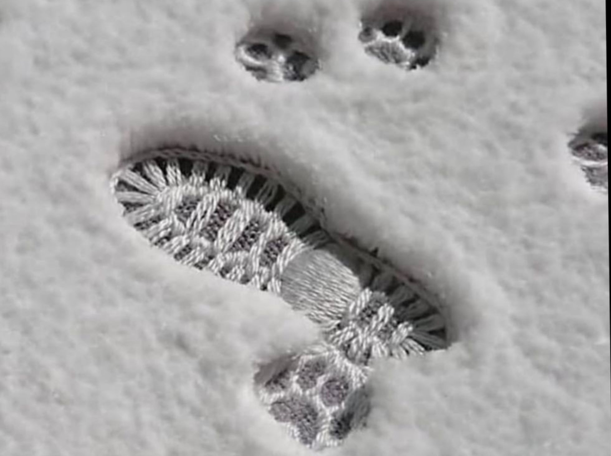 Иллюстрация к публикации