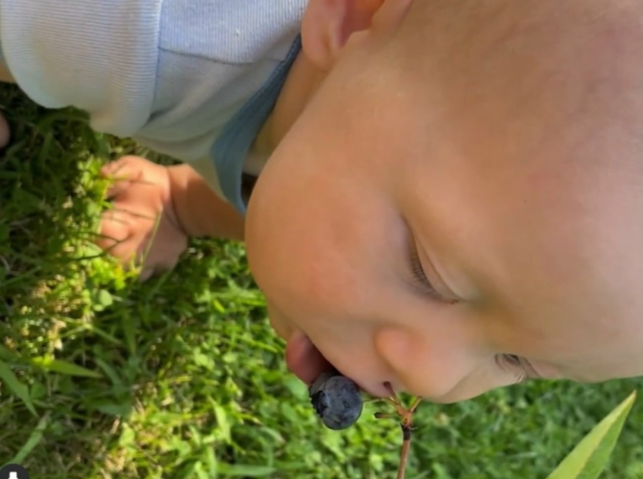 Иллюстрация к публикации