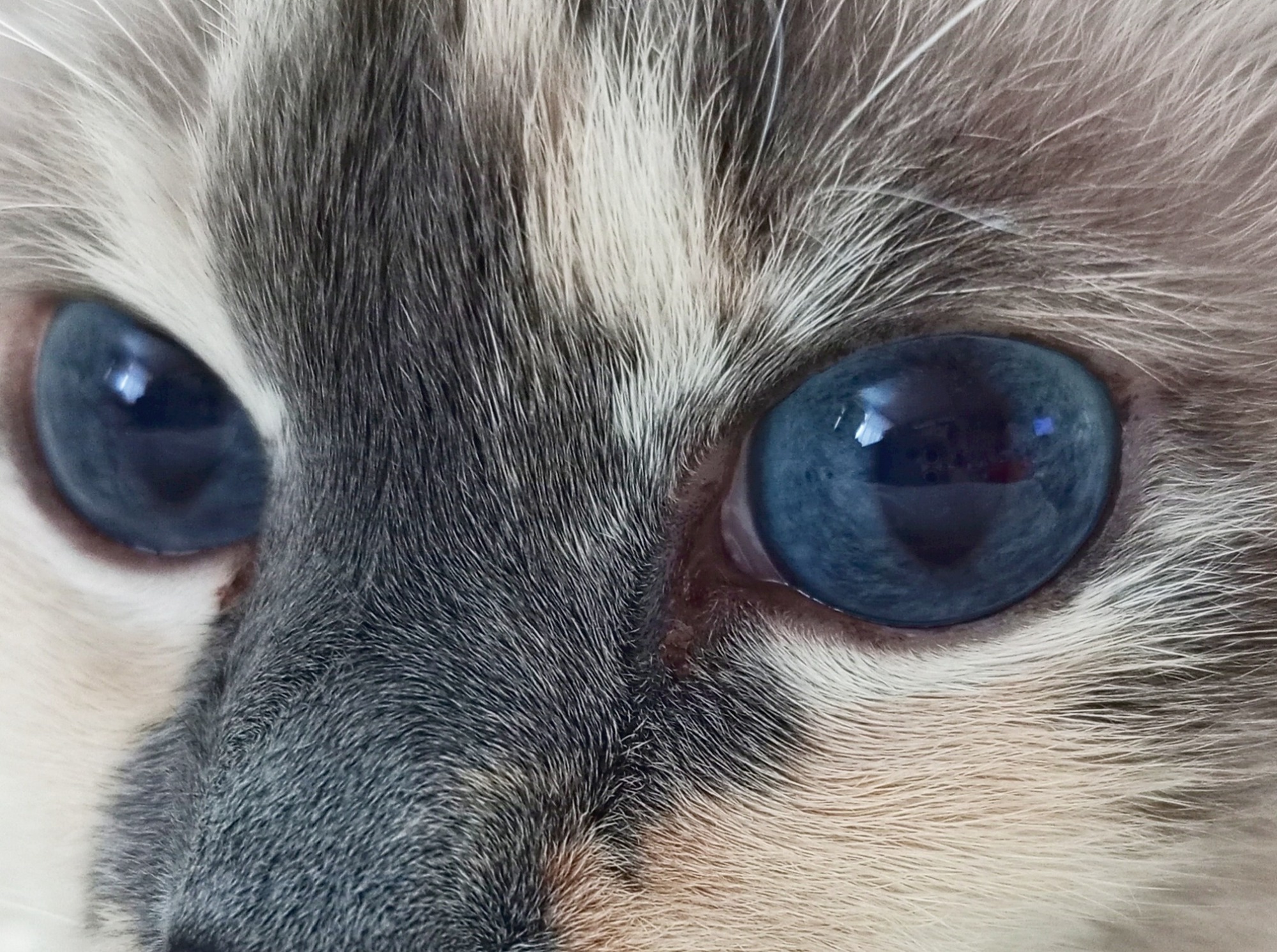 Иллюстрация к публикации