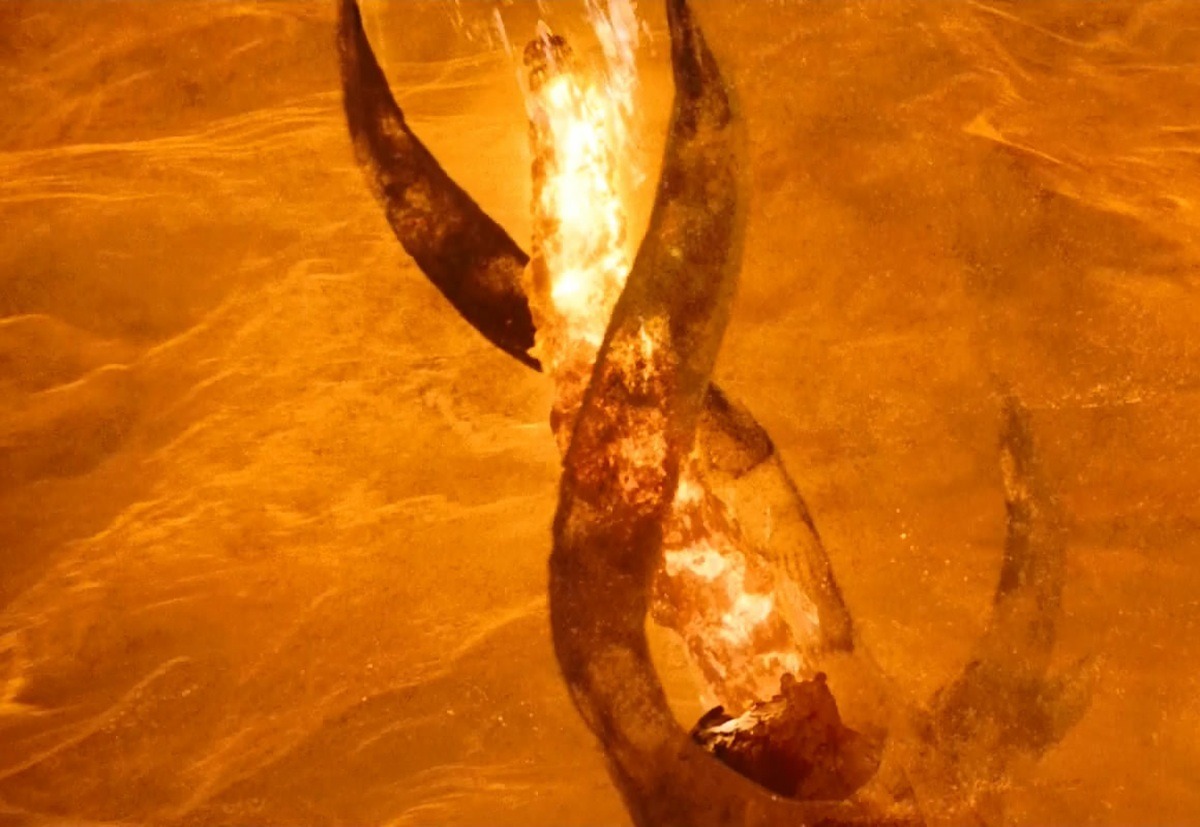 Иллюстрация к публикации