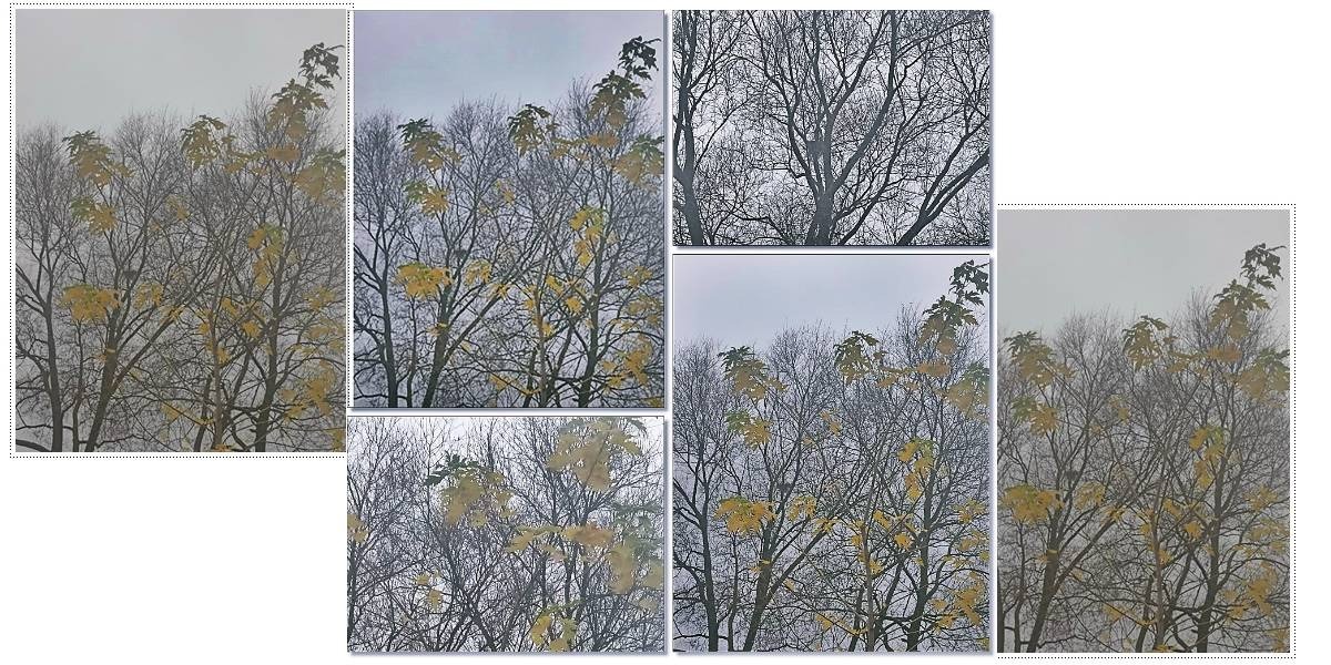 Иллюстрация к публикации