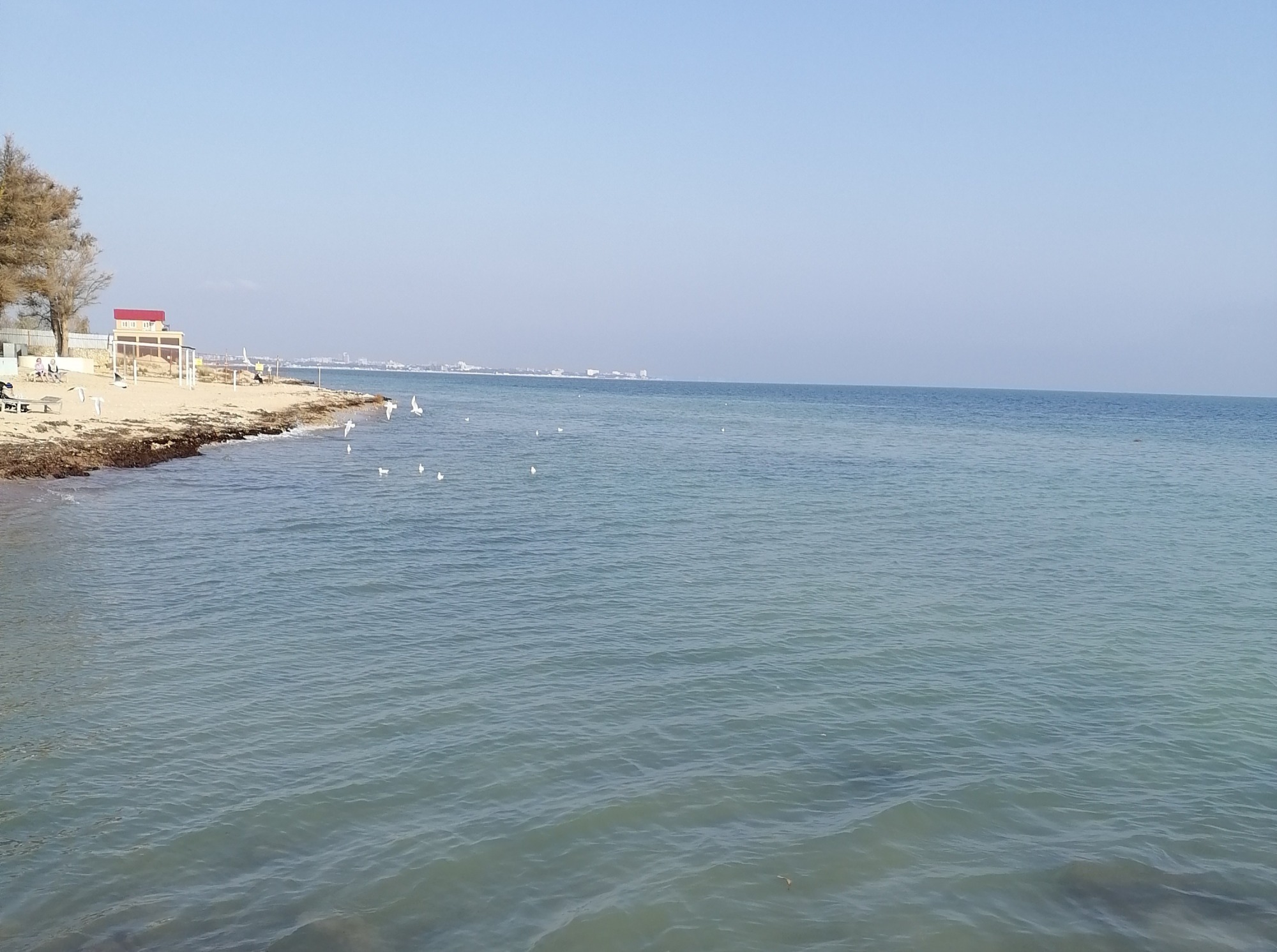 Иллюстрация к публикации