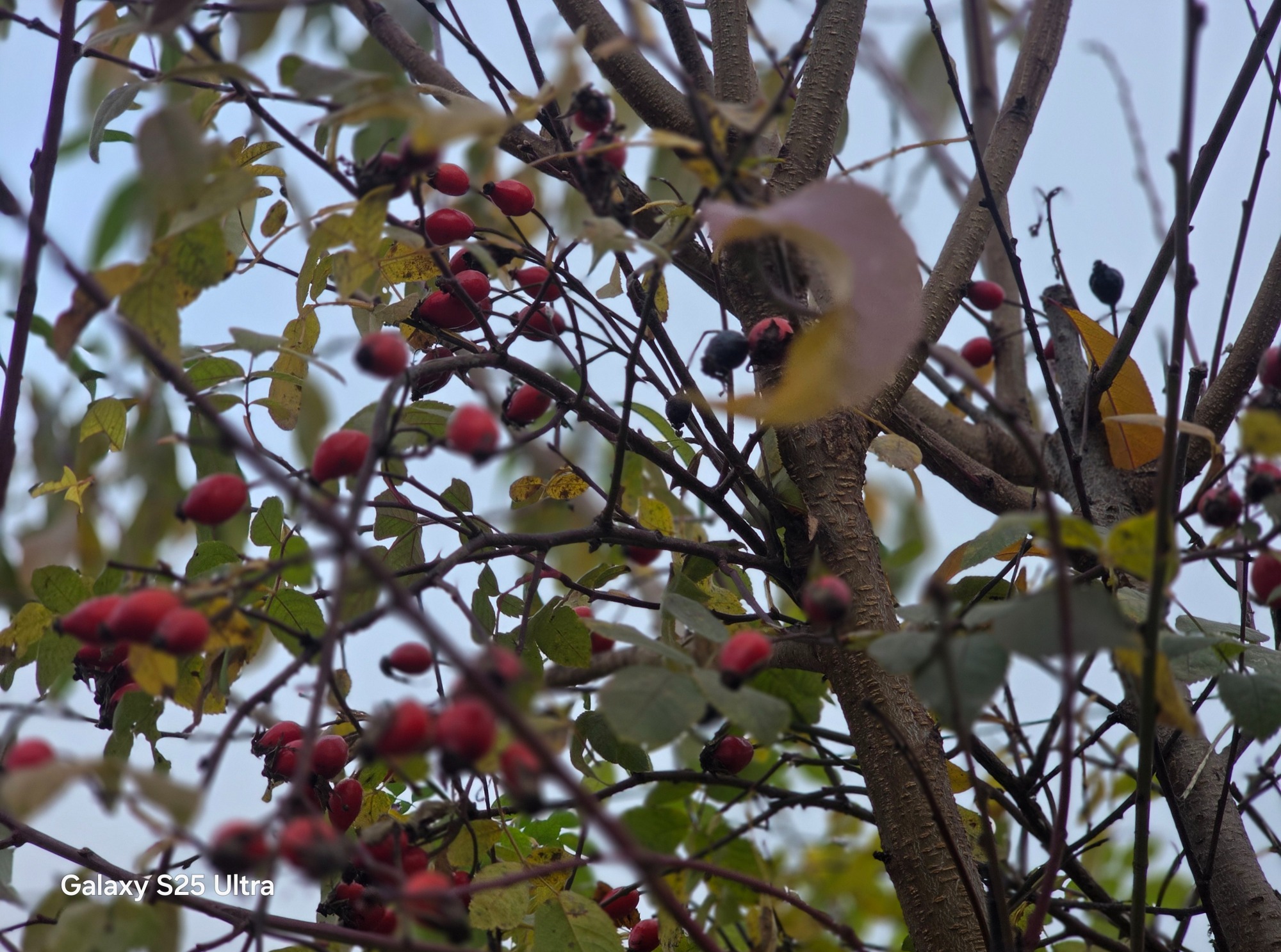 Иллюстрация к публикации