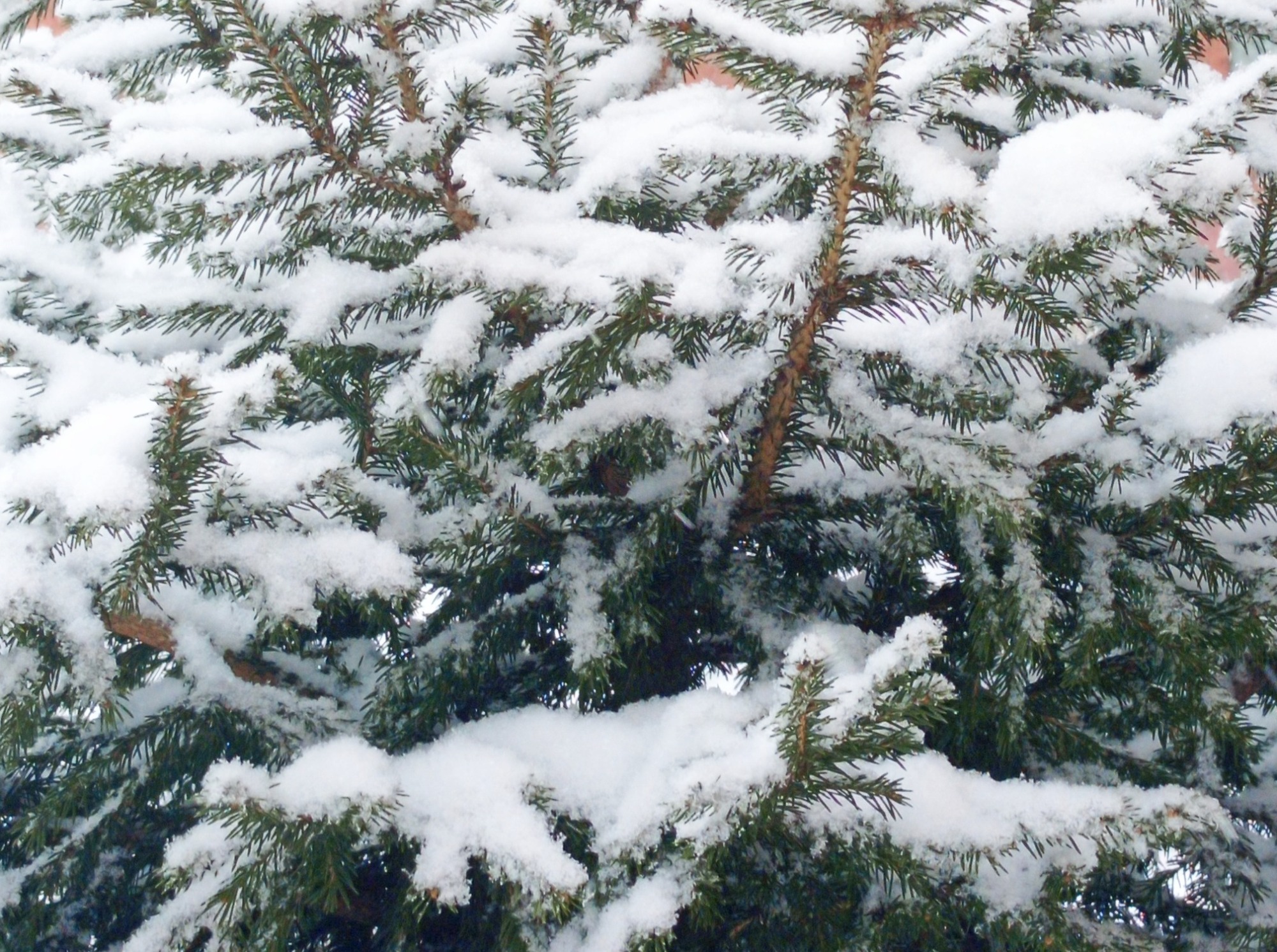 Иллюстрация к публикации