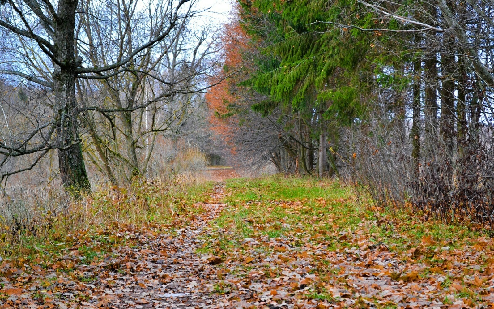 Иллюстрация к публикации