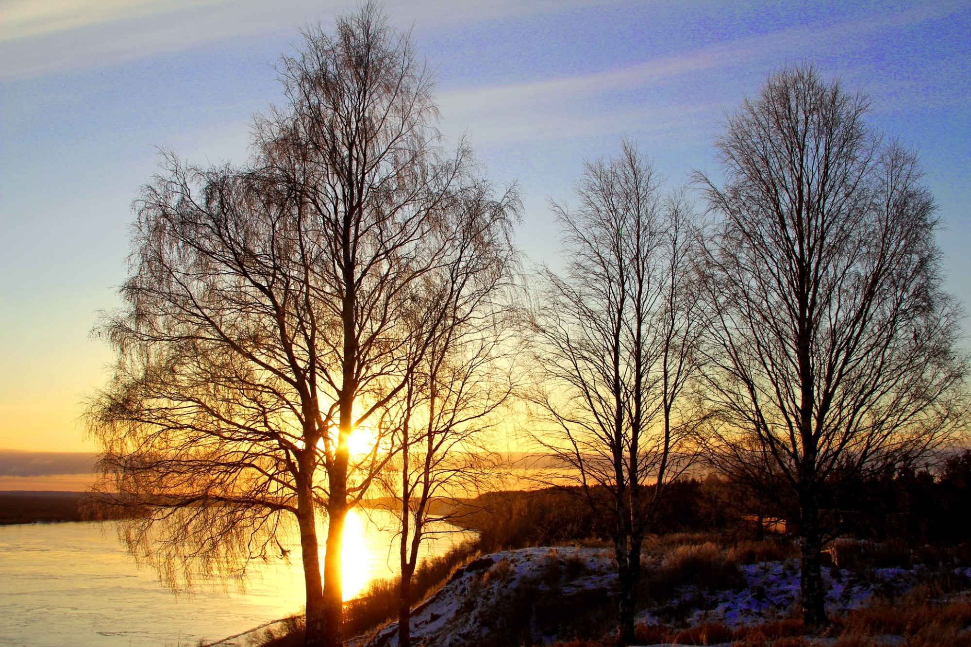 Иллюстрация к публикации