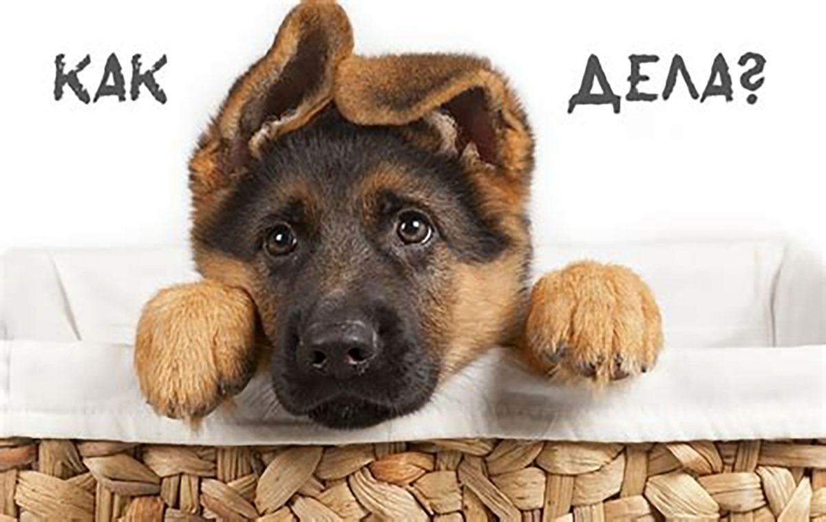 Иллюстрация к публикации