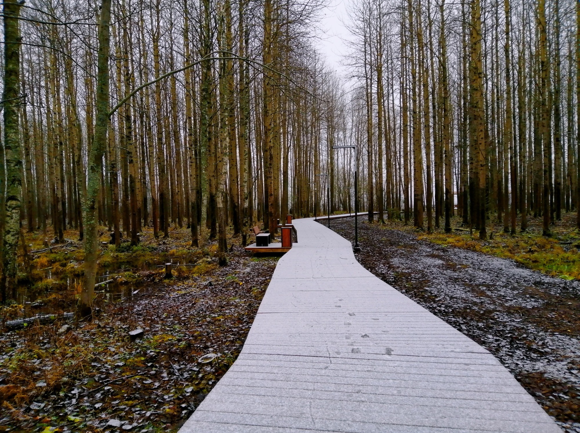 Иллюстрация к публикации