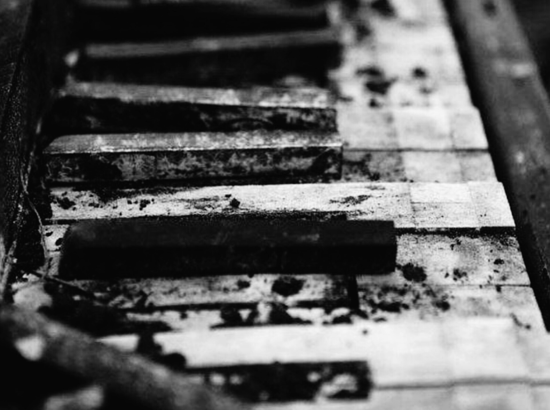 Иллюстрация к публикации