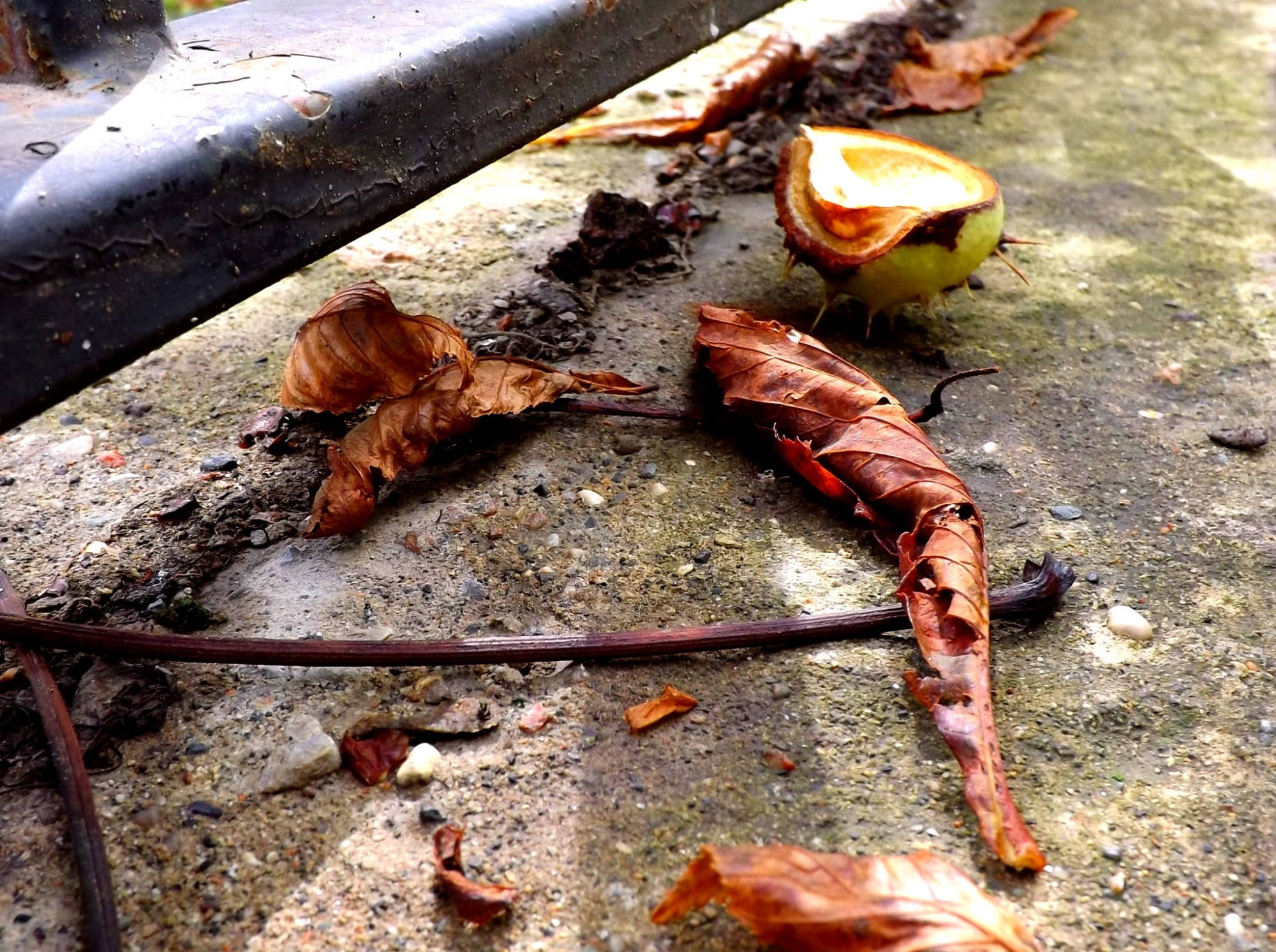 Иллюстрация к публикации