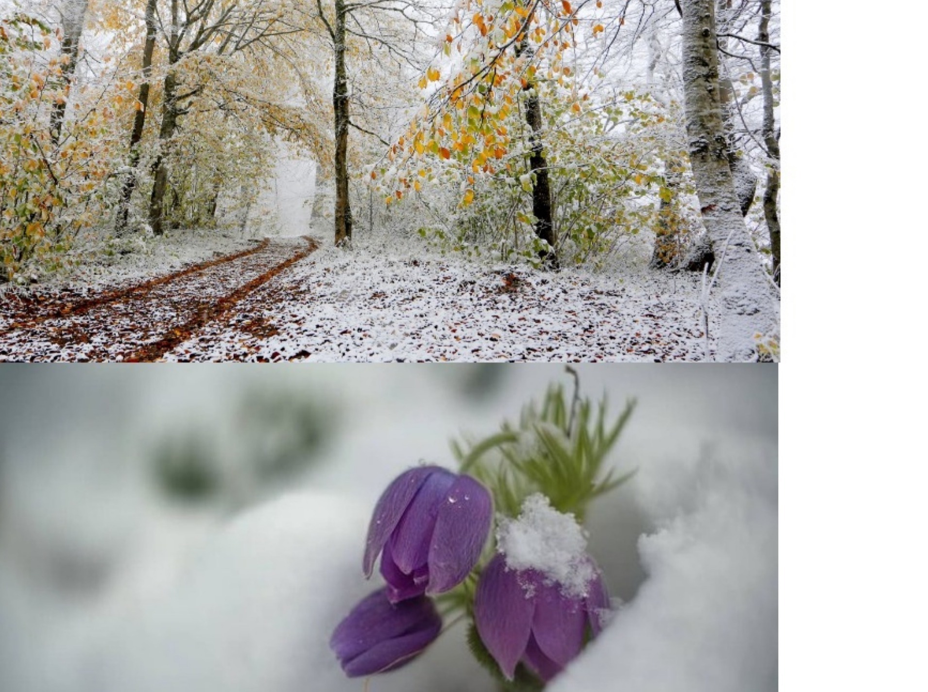 Иллюстрация к публикации