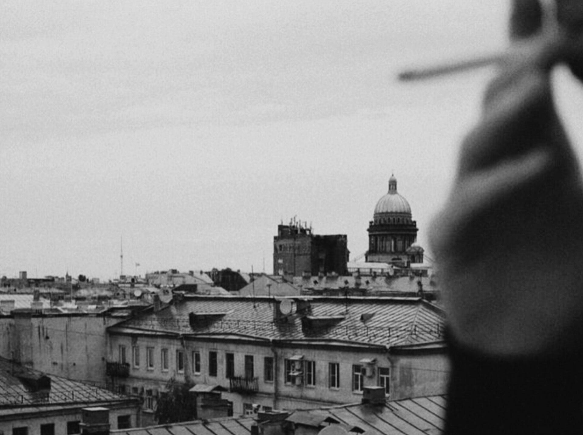 Иллюстрация к публикации