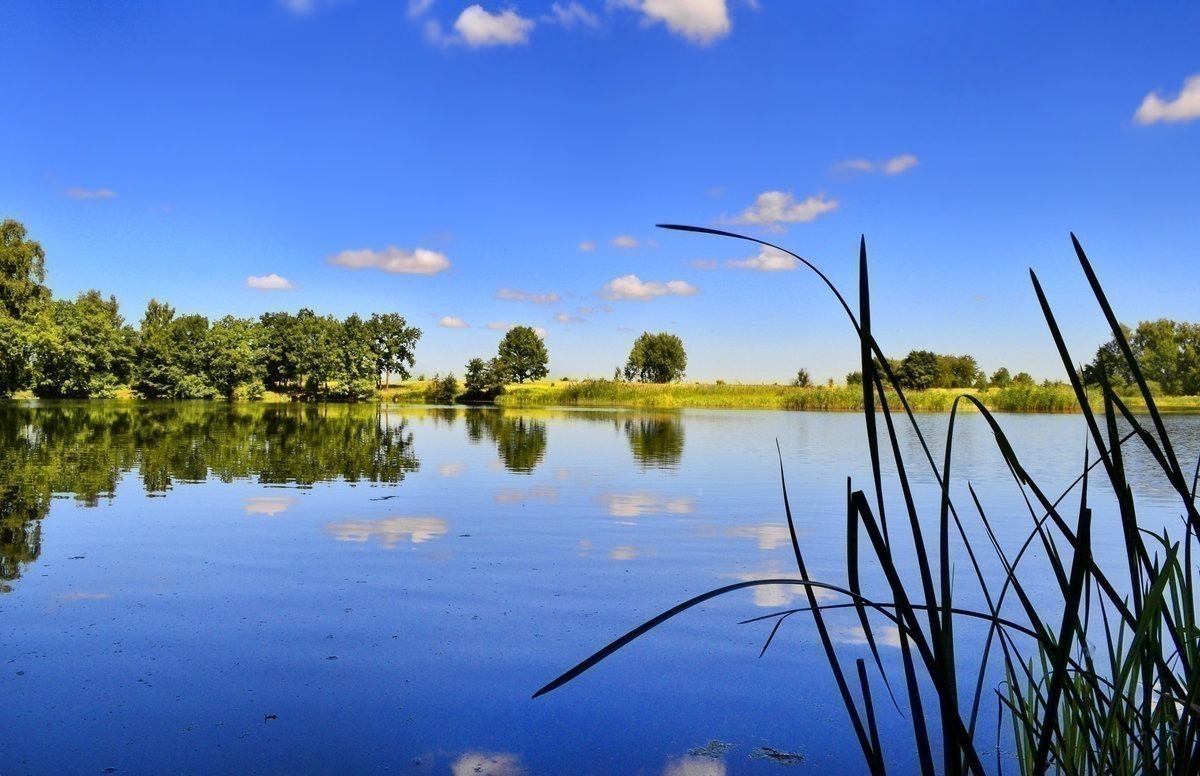 Иллюстрация к публикации