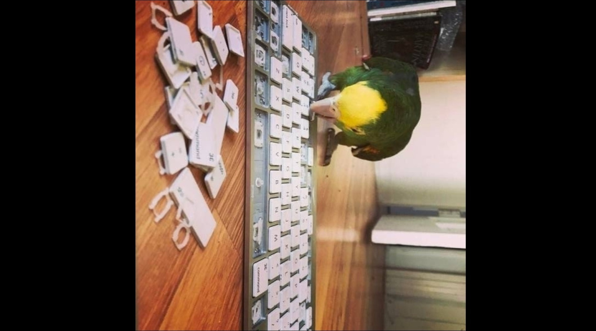 Иллюстрация к публикации