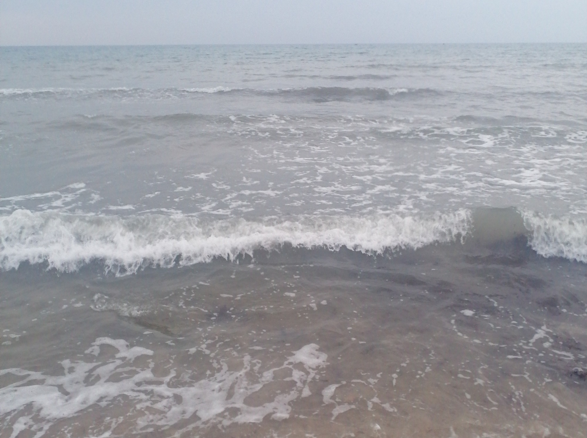 Иллюстрация к публикации